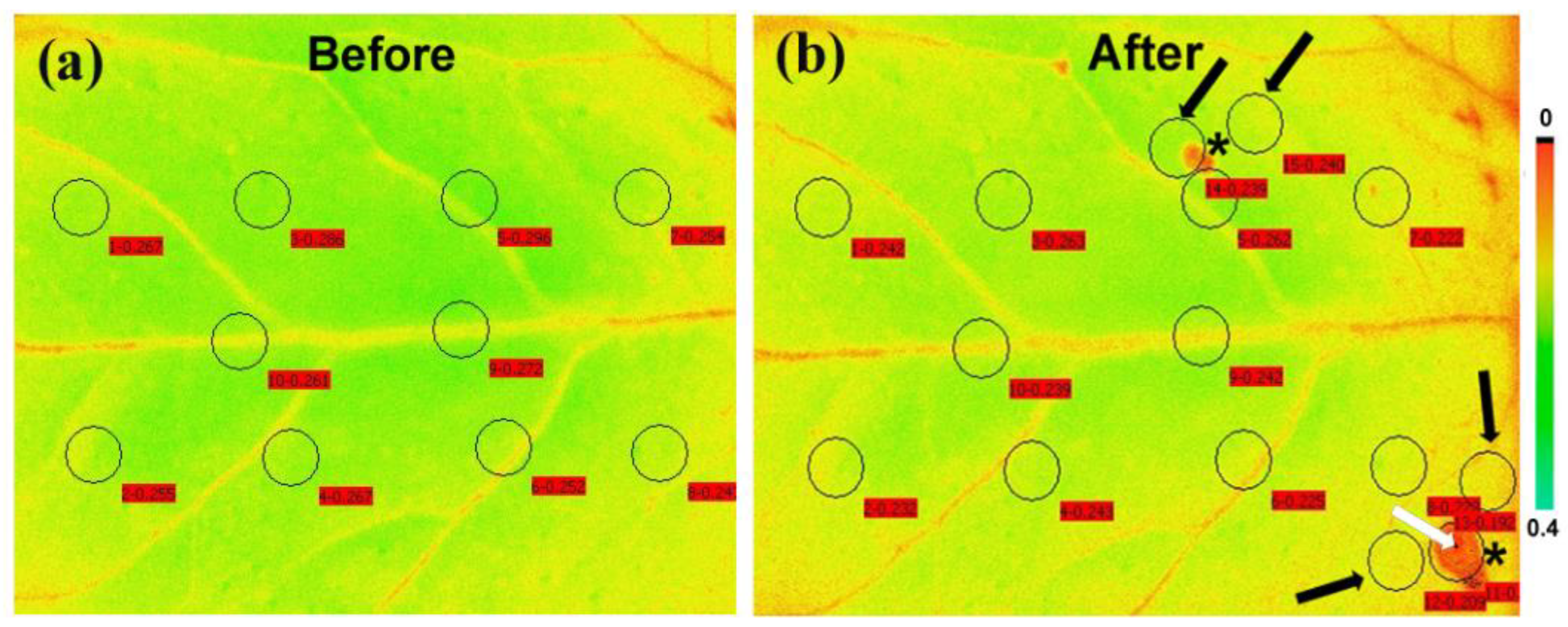 Biosensors 13 00796 g007