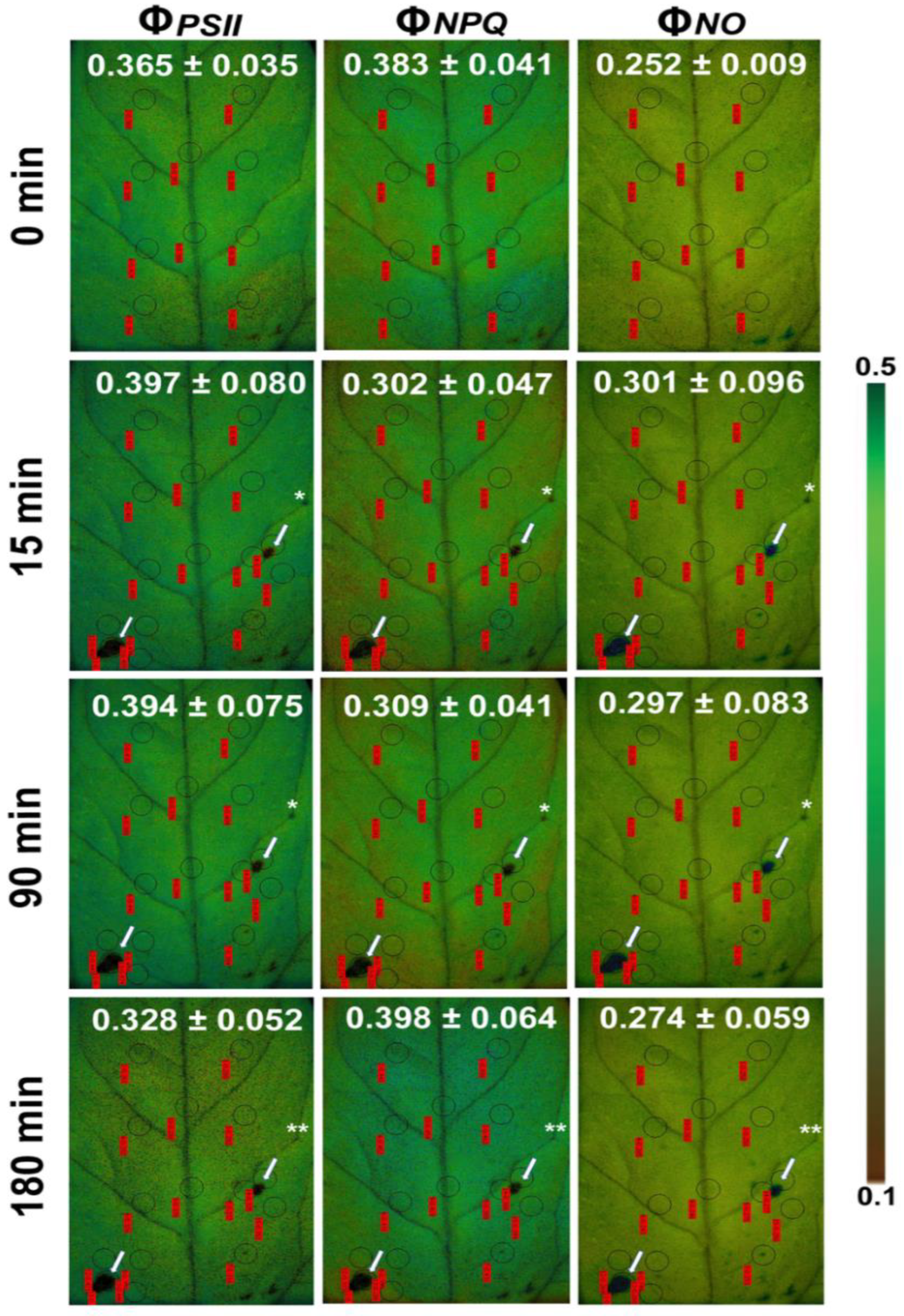 Biosensors 13 00796 g008