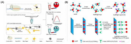 Biosensors 13 00801 g009
