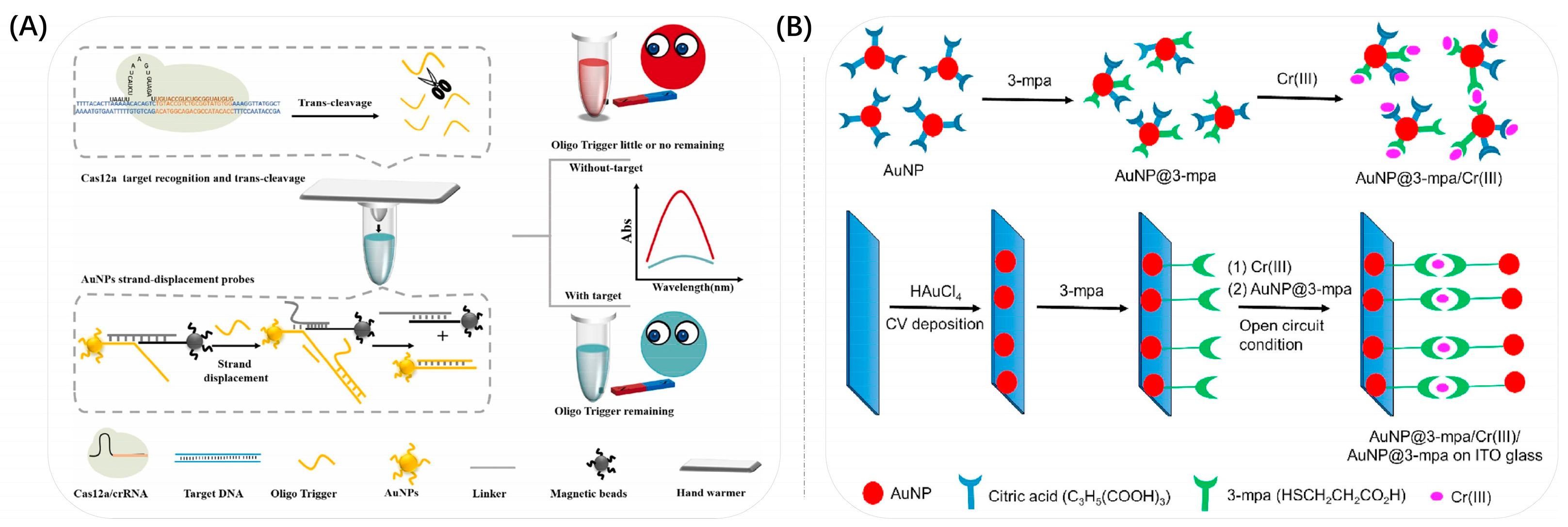 Biosensors 13 00801 g009