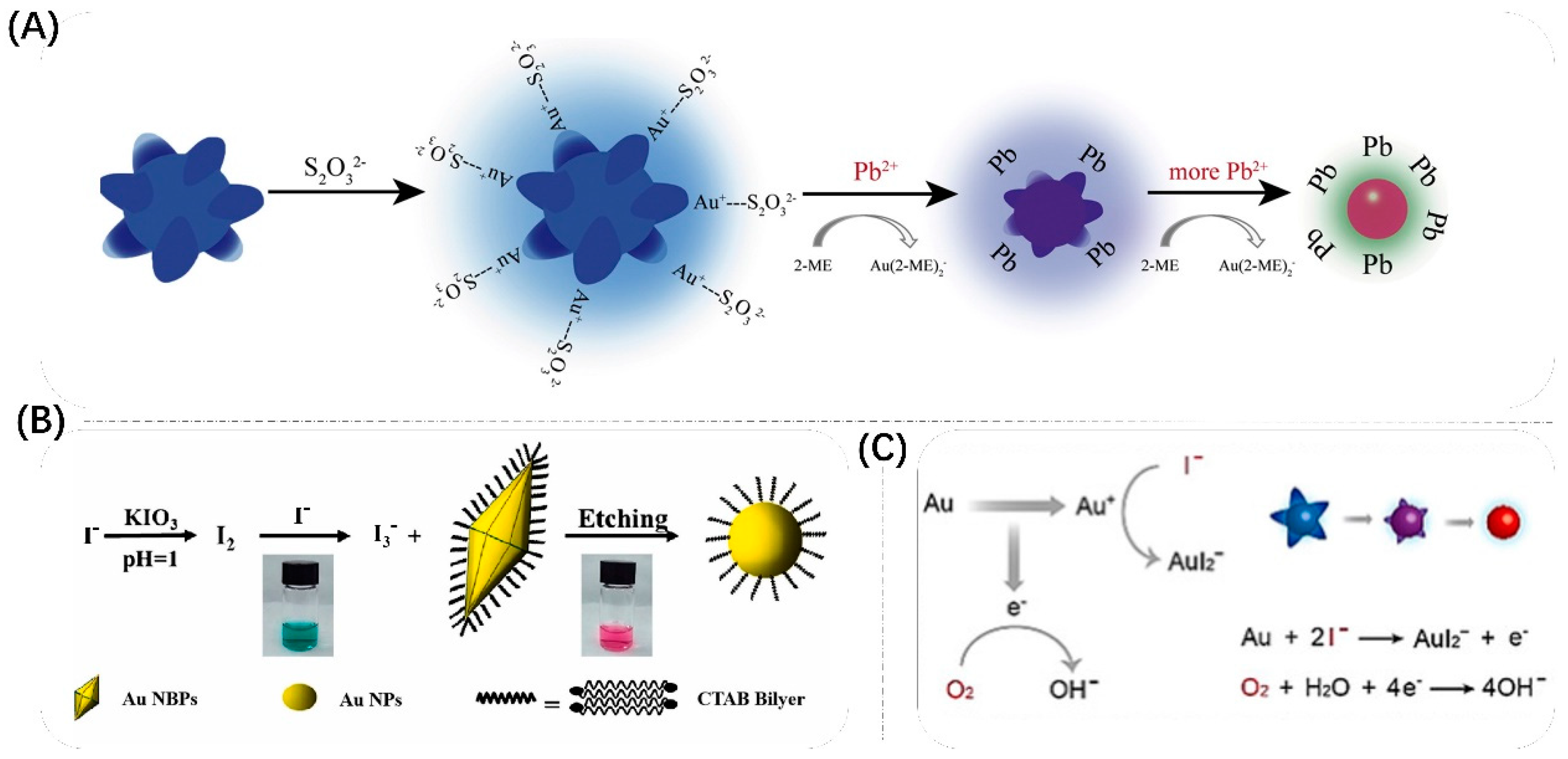 Biosensors 13 00801 g012