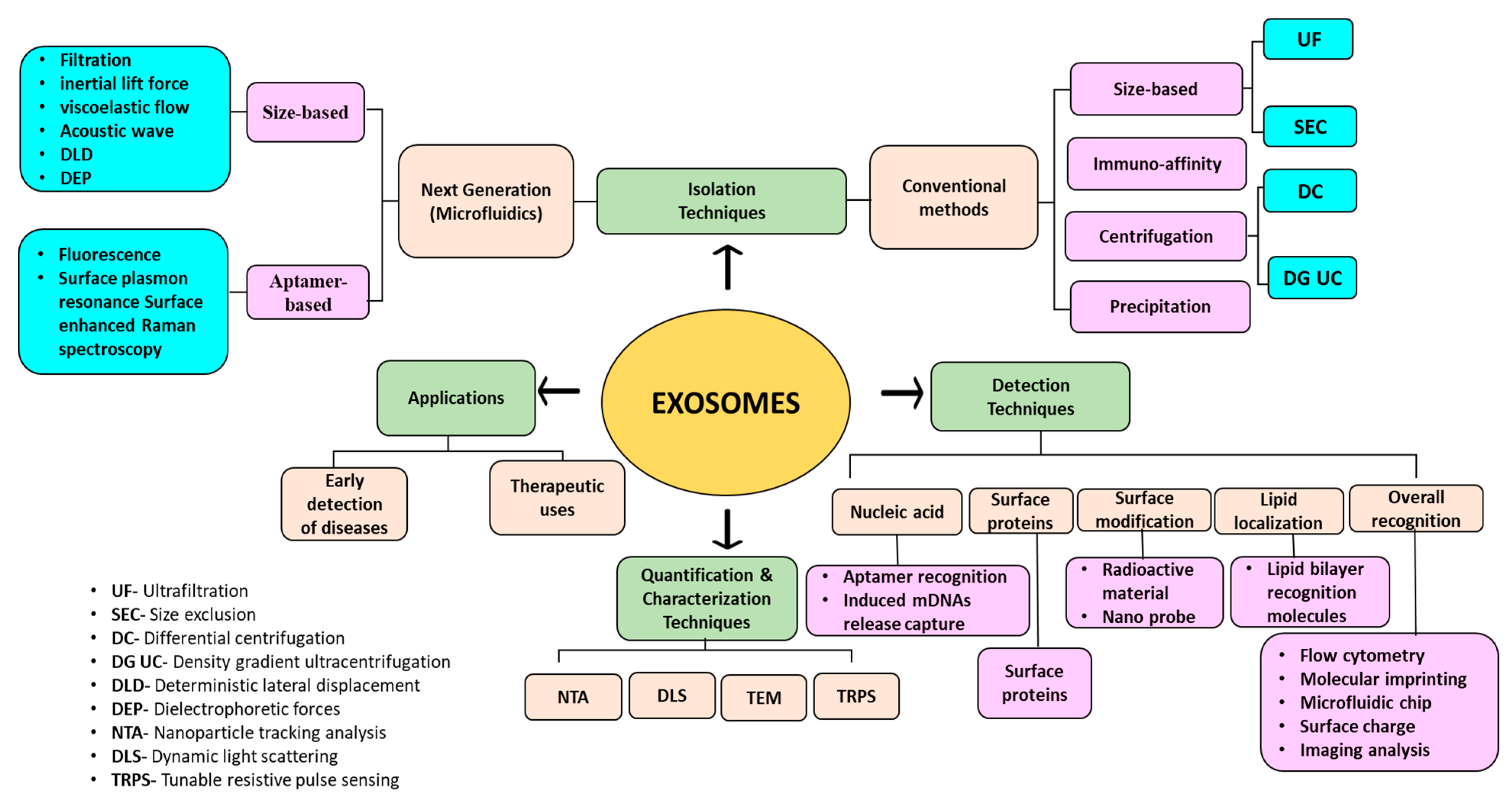 Biosensors 13 00802 g001