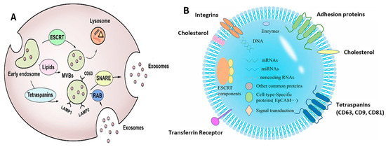 Biosensors 13 00802 g002