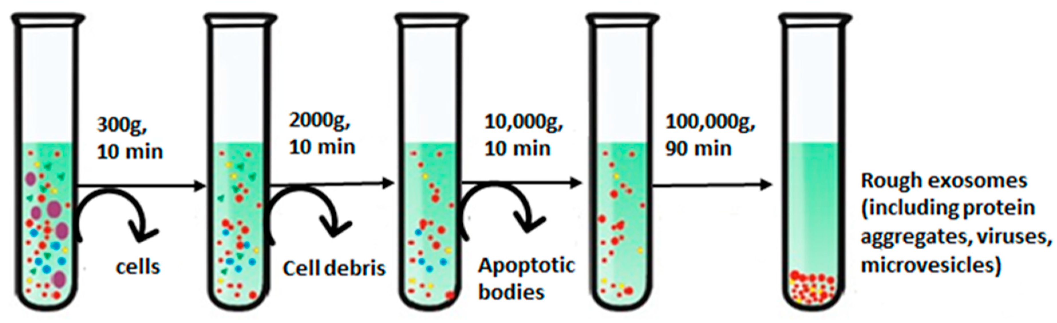 Biosensors 13 00802 g003