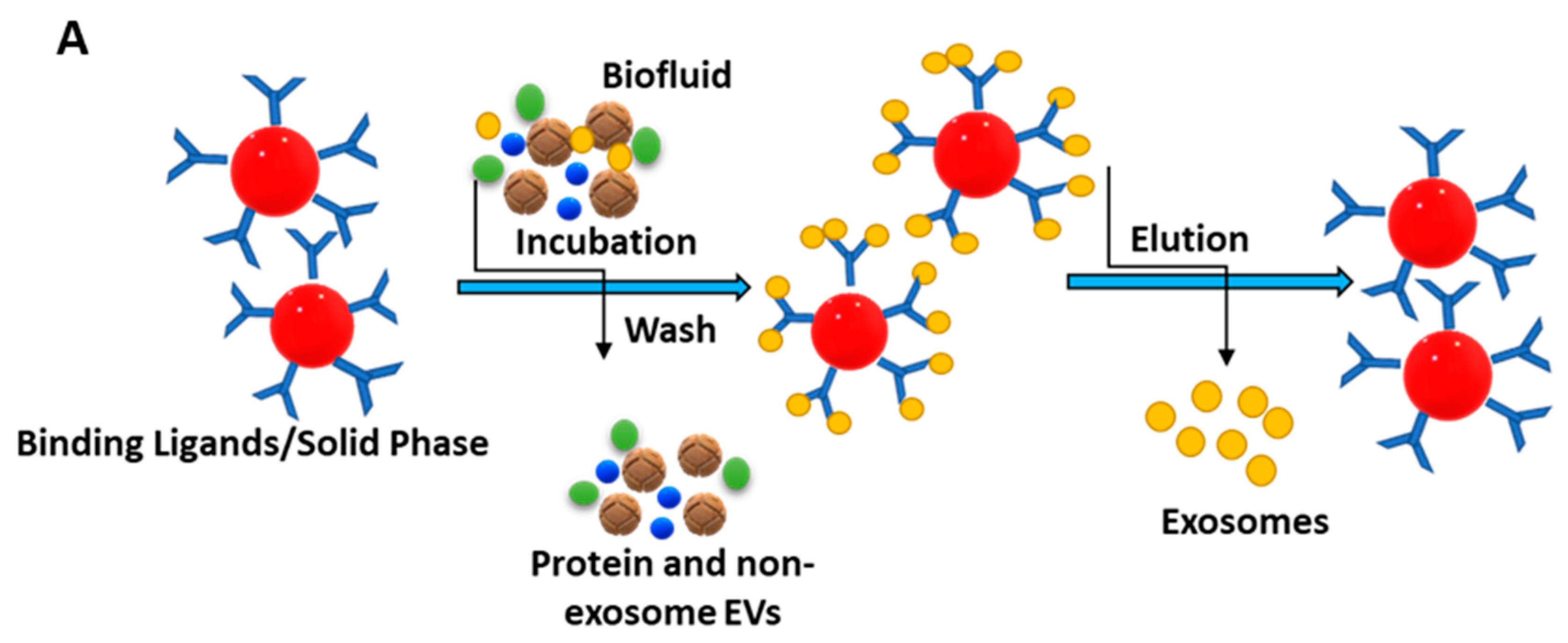 Biosensors 13 00802 g005a