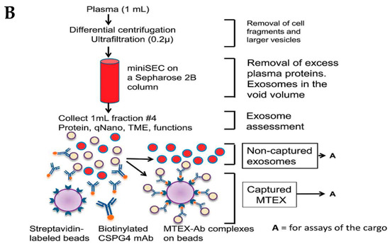 Biosensors 13 00802 g005b