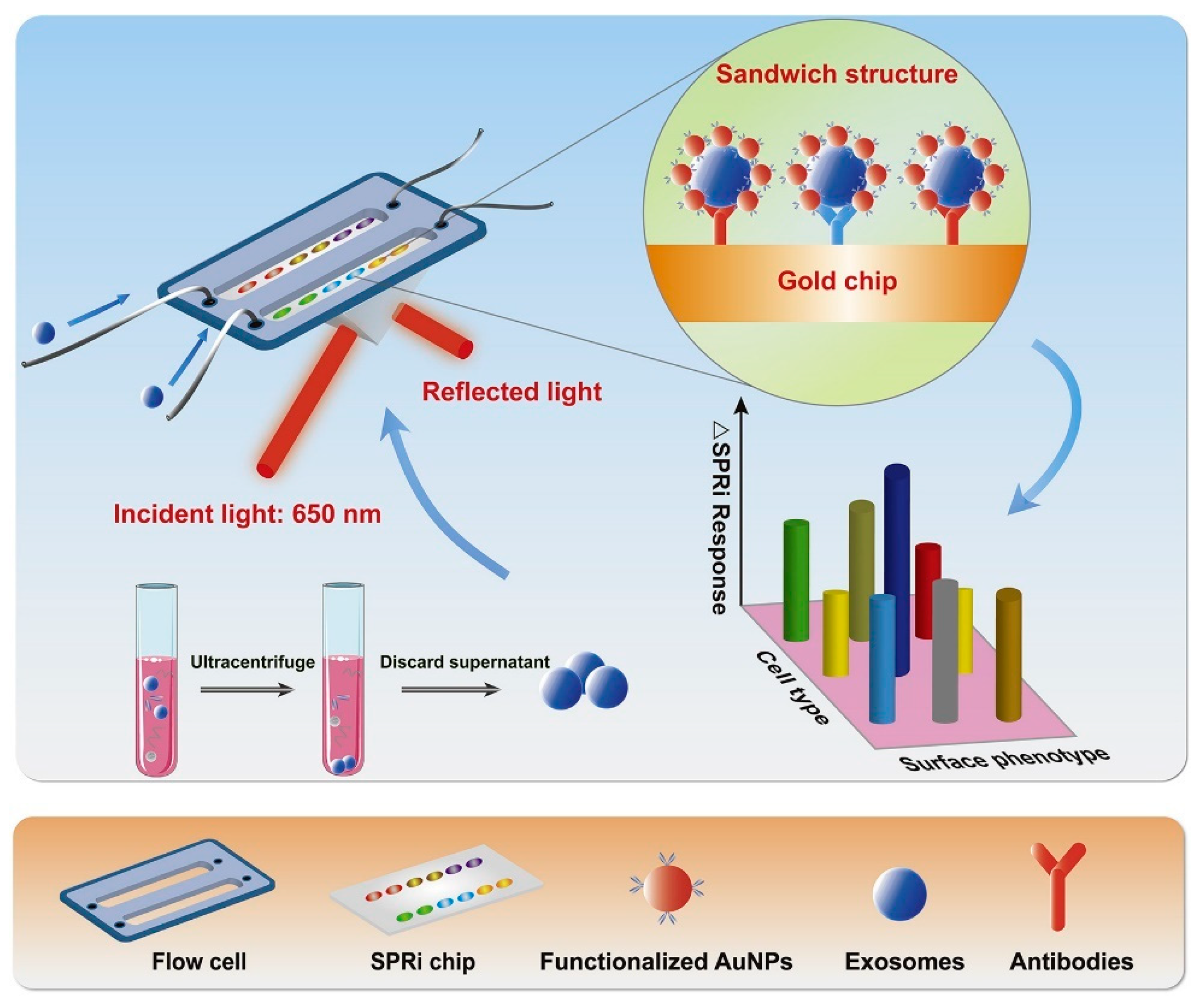 Biosensors 13 00802 g010
