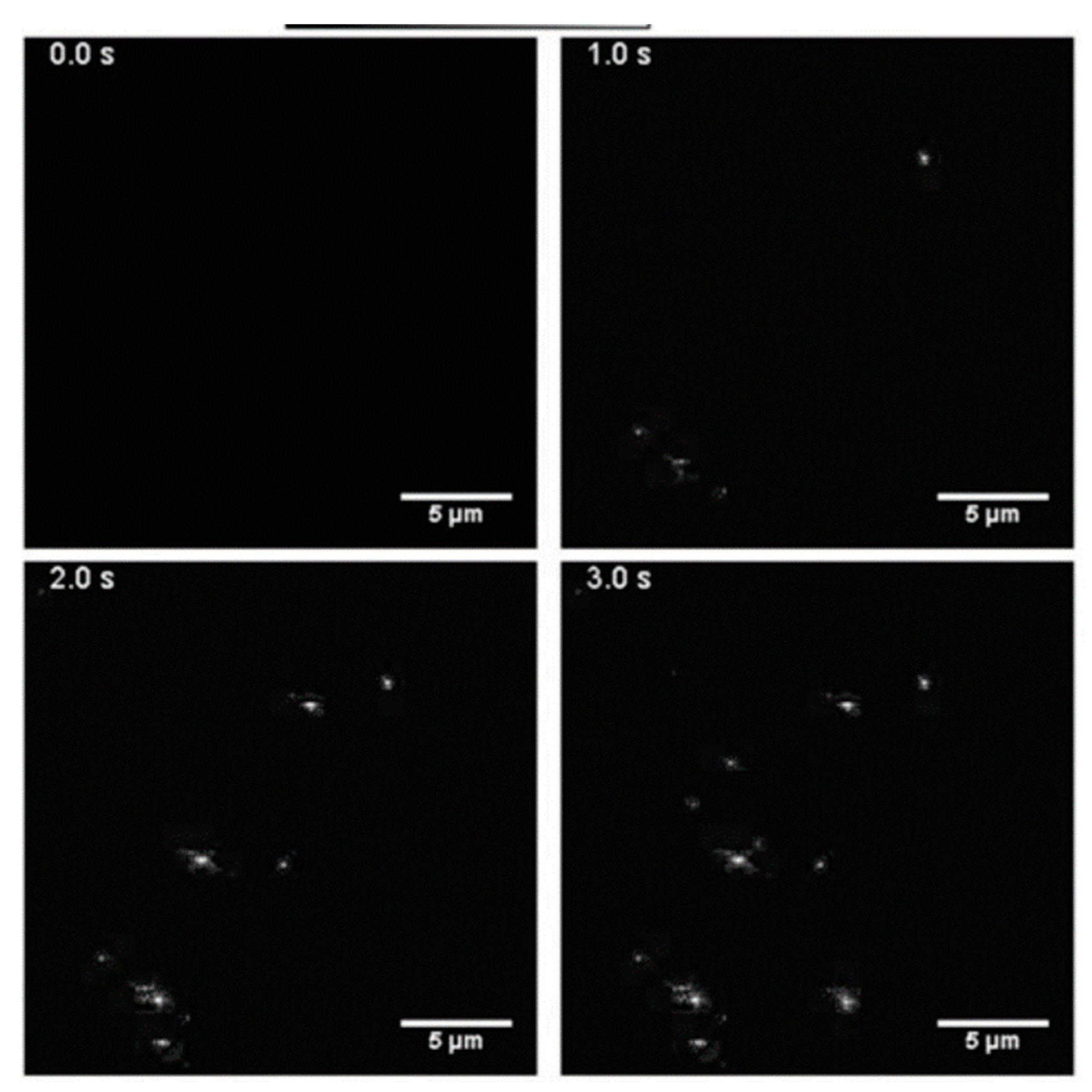 Biosensors 13 00802 g012