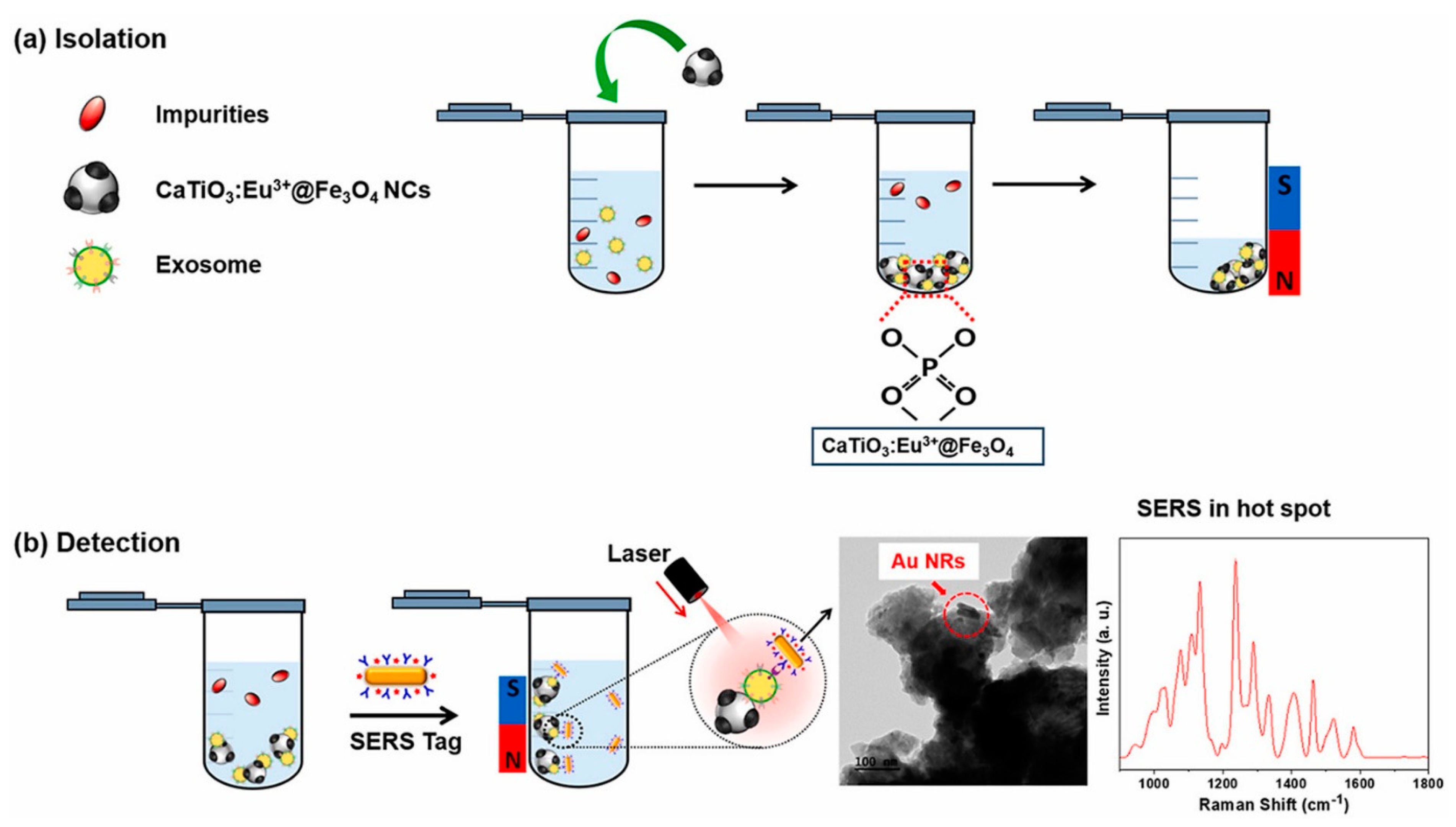 Biosensors 13 00802 g013