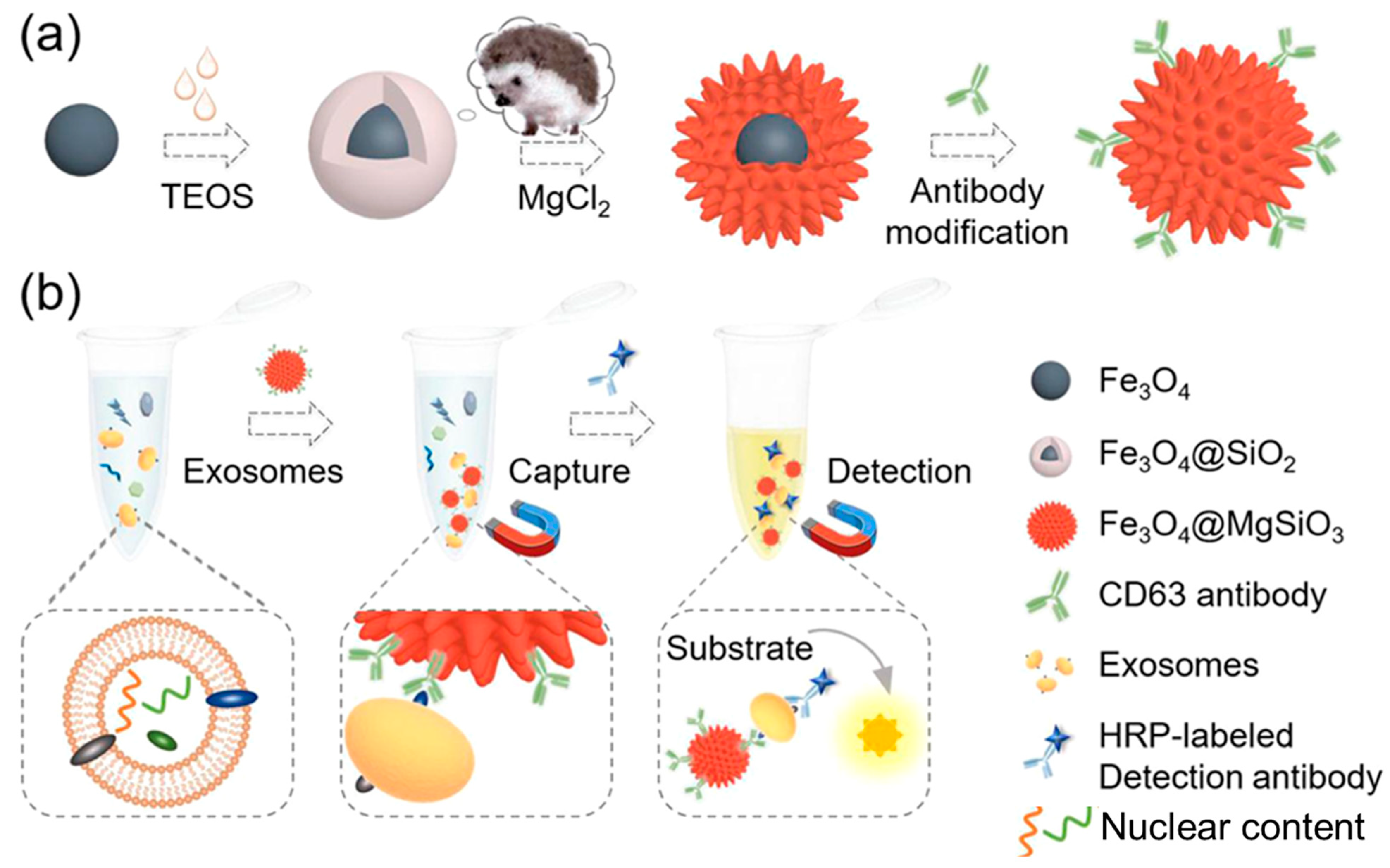 Biosensors 13 00802 g014