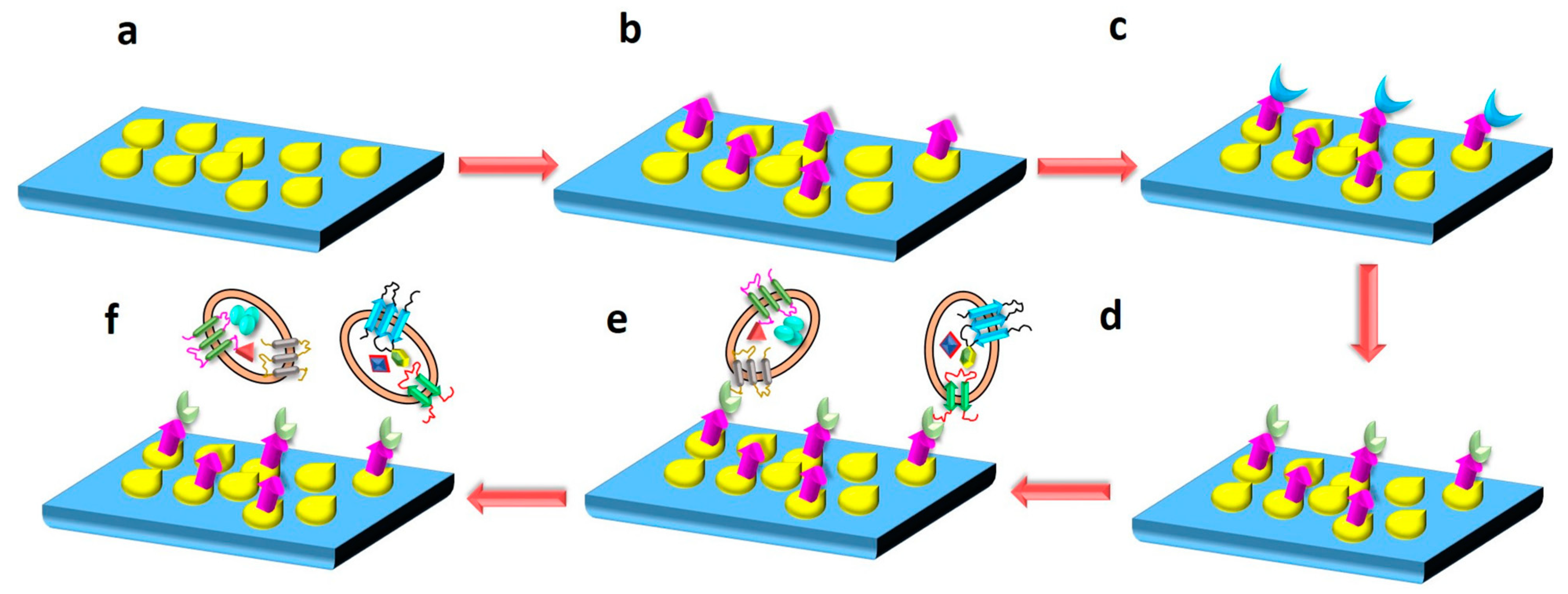 Biosensors 13 00802 g015
