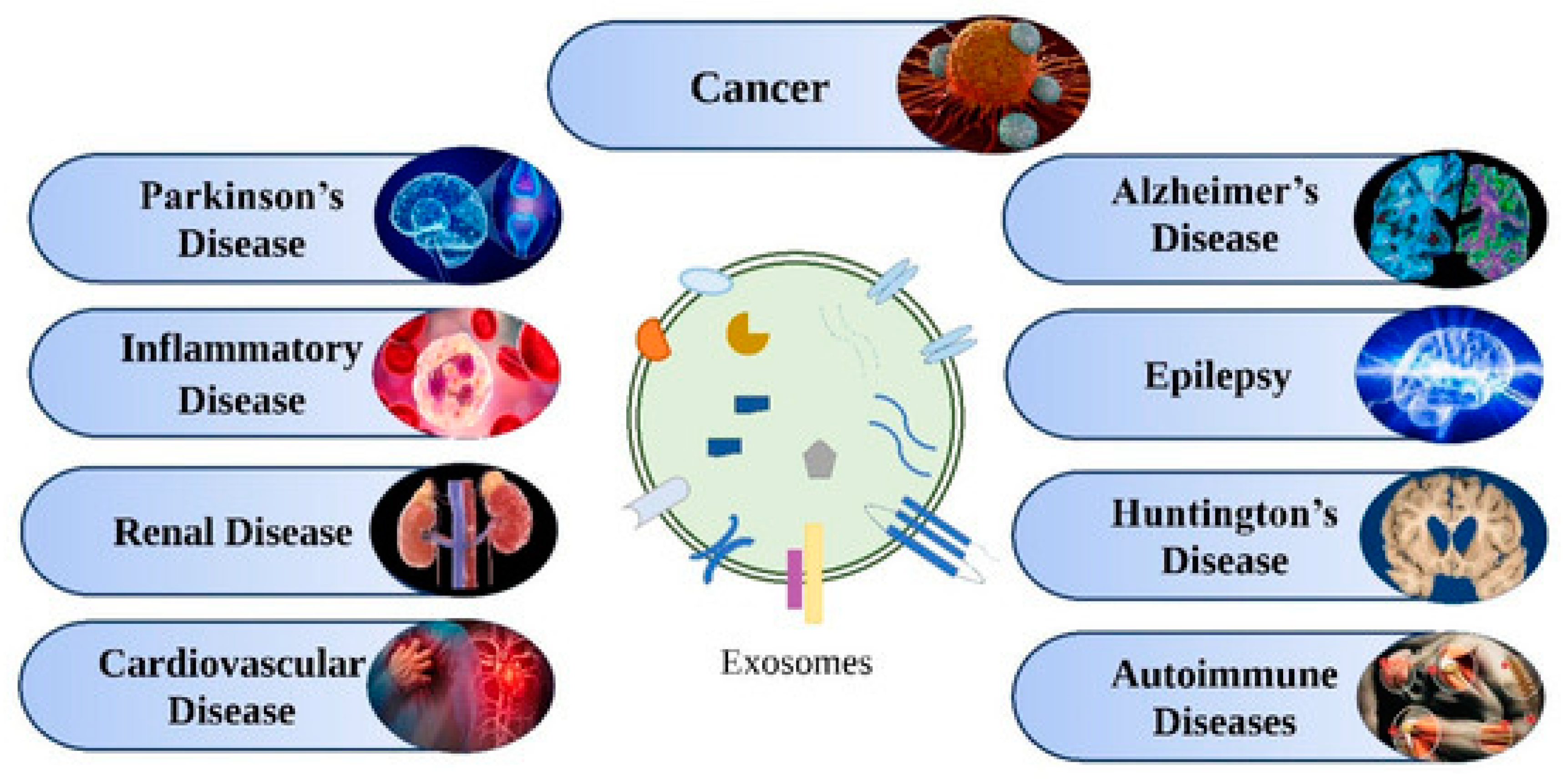 Biosensors 13 00802 g016