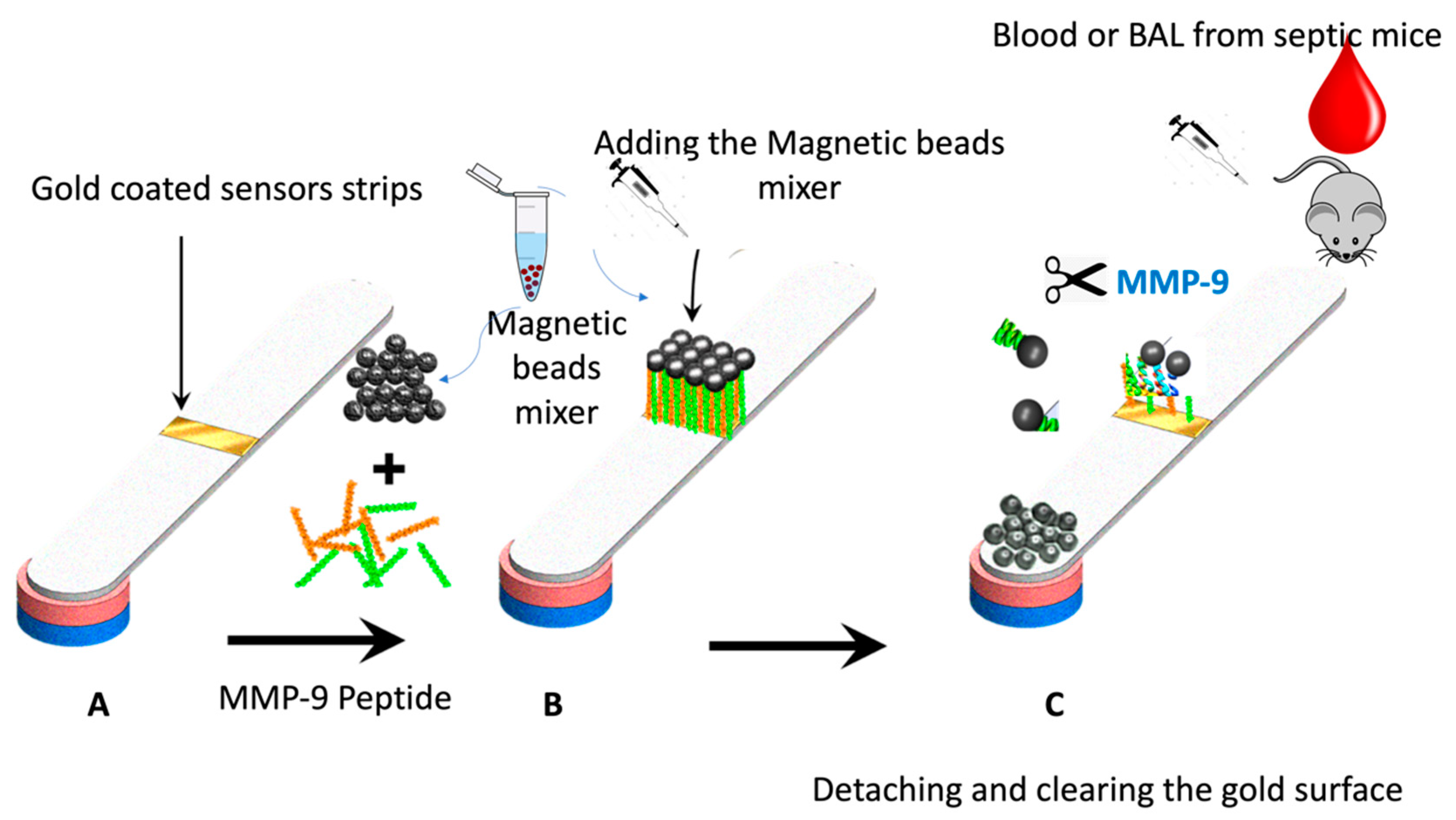 Biosensors 13 00804 g002 Biosensors 13 00804 g002