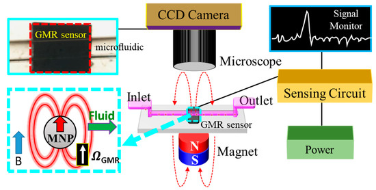 Biosensors 13 00807 g001