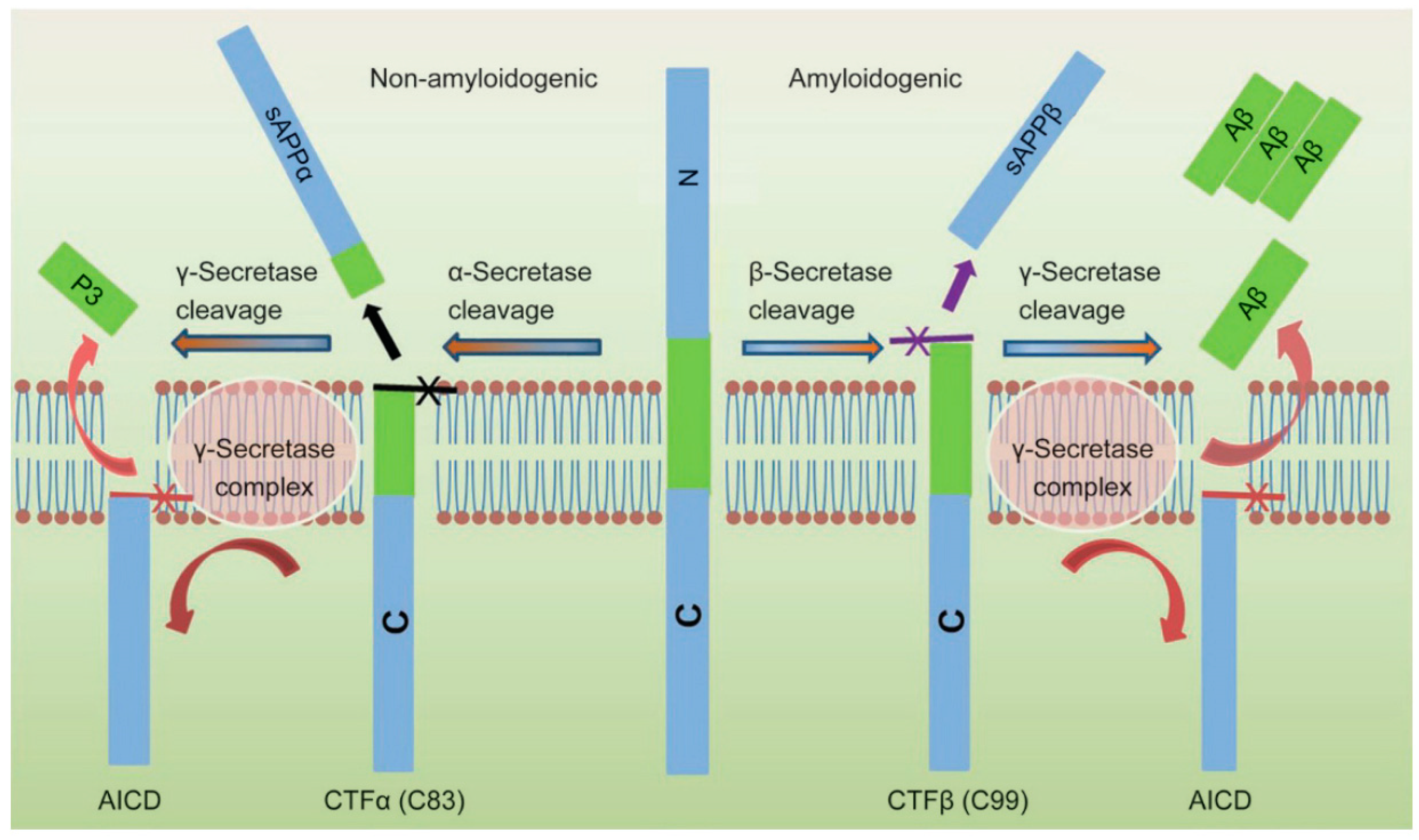 Biosensors 13 00809 g002
