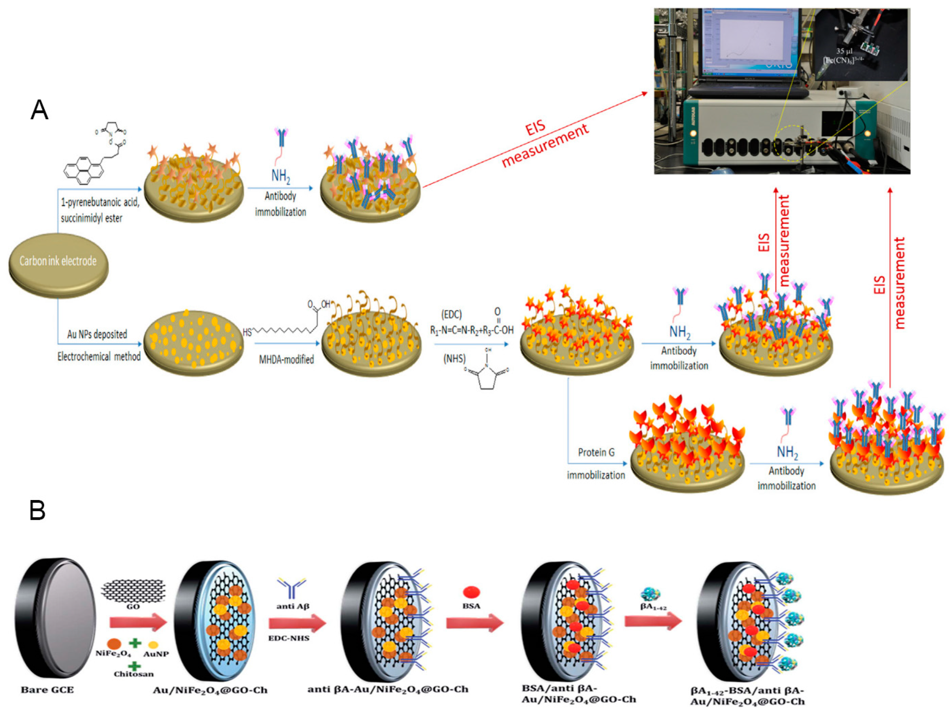 Biosensors 13 00809 g003