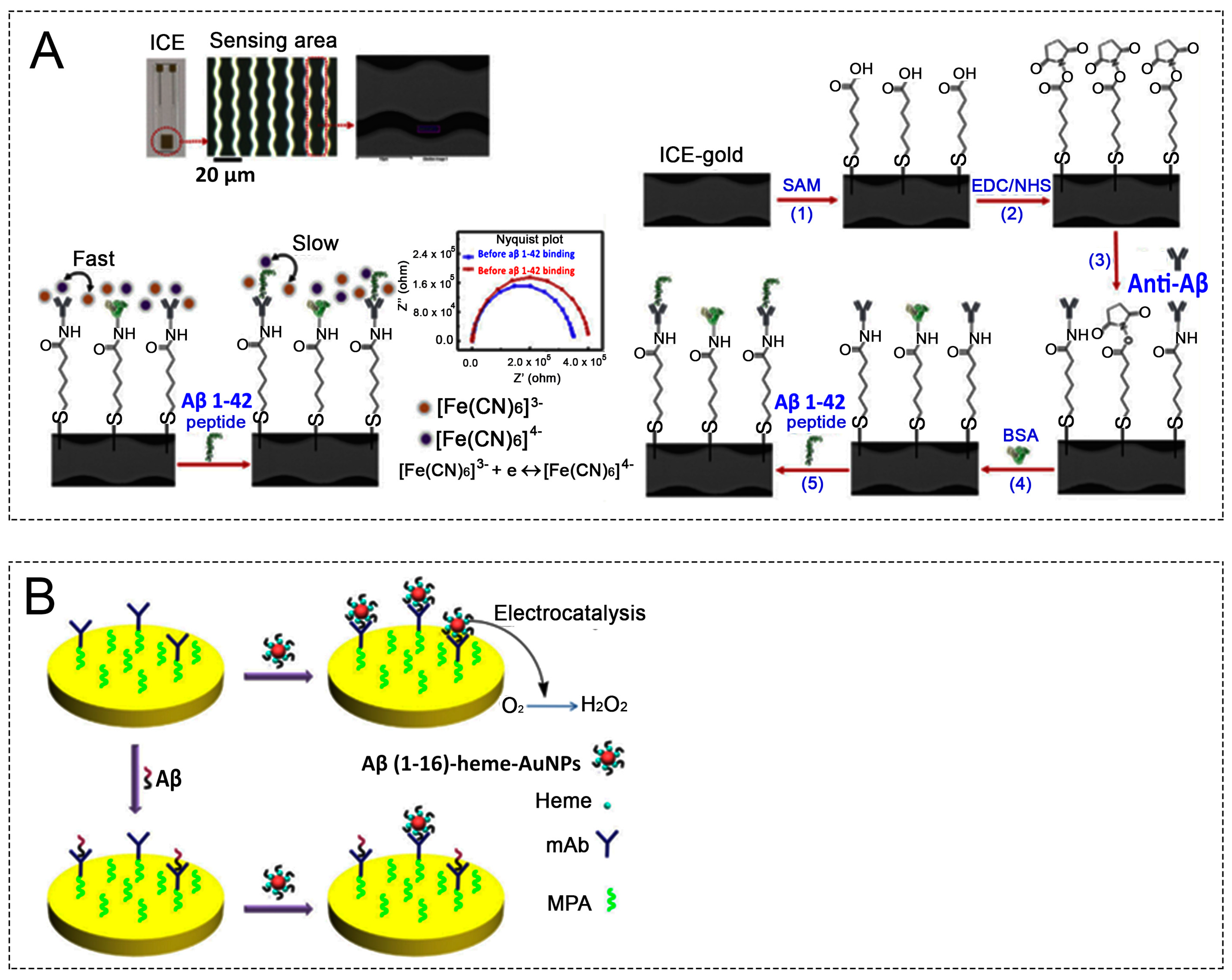 Biosensors 13 00809 g004