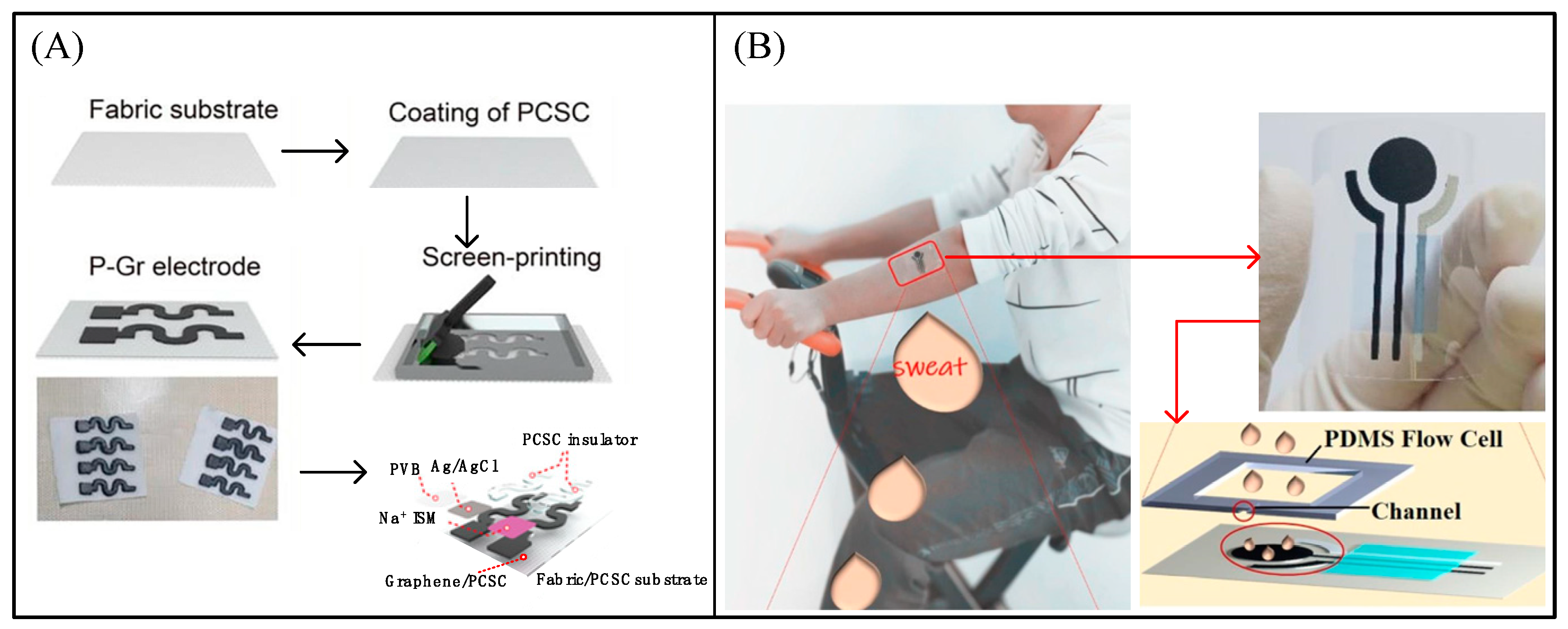 Biosensors 13 00812 g007
