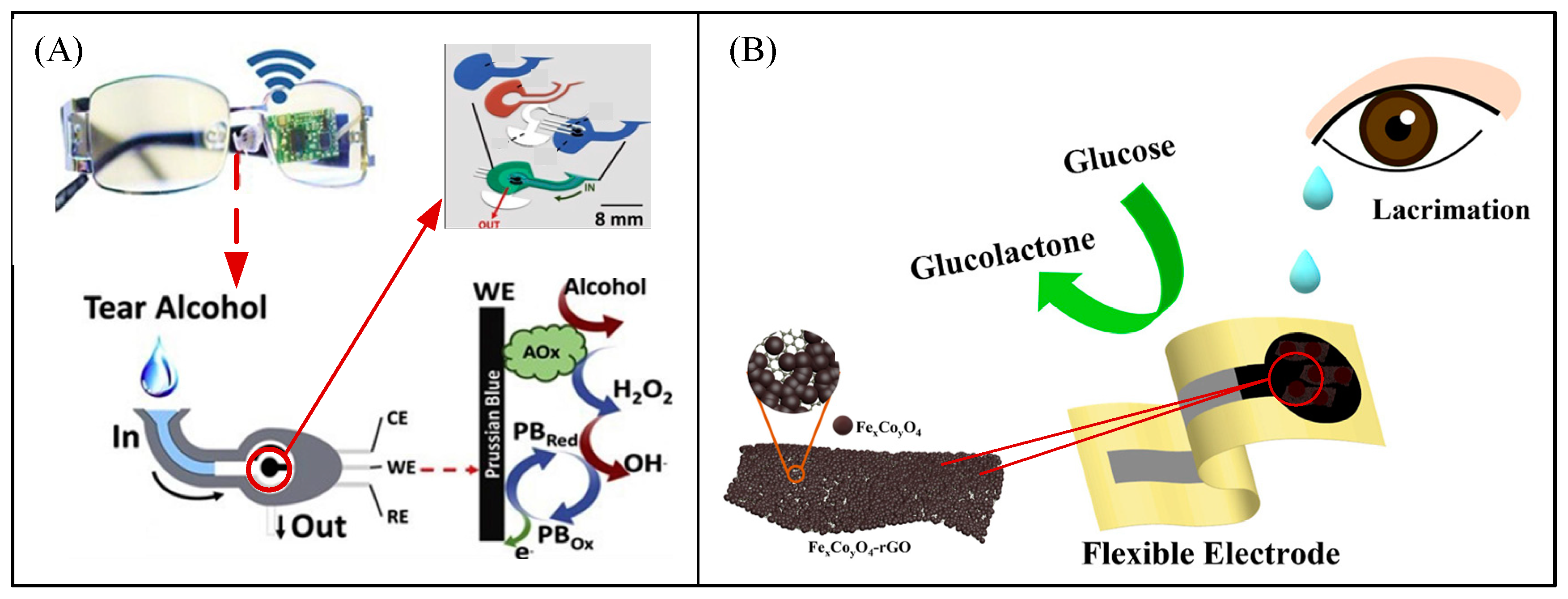 Biosensors 13 00812 g008