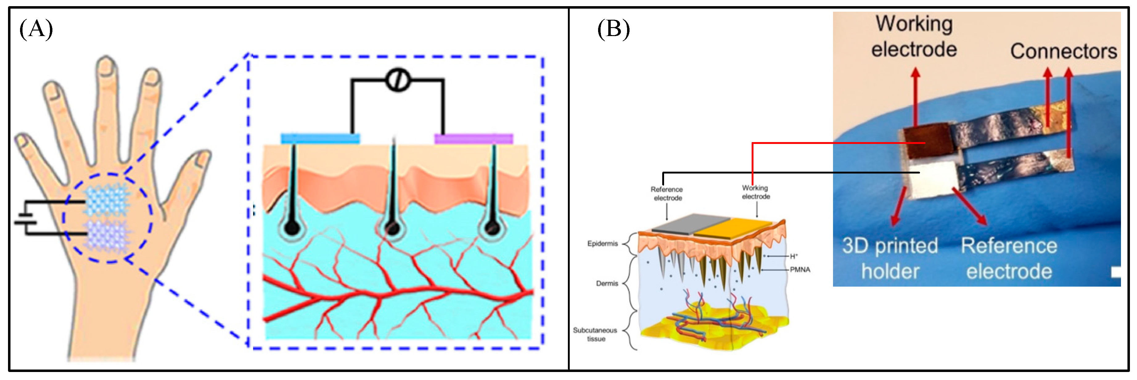 Biosensors 13 00812 g010