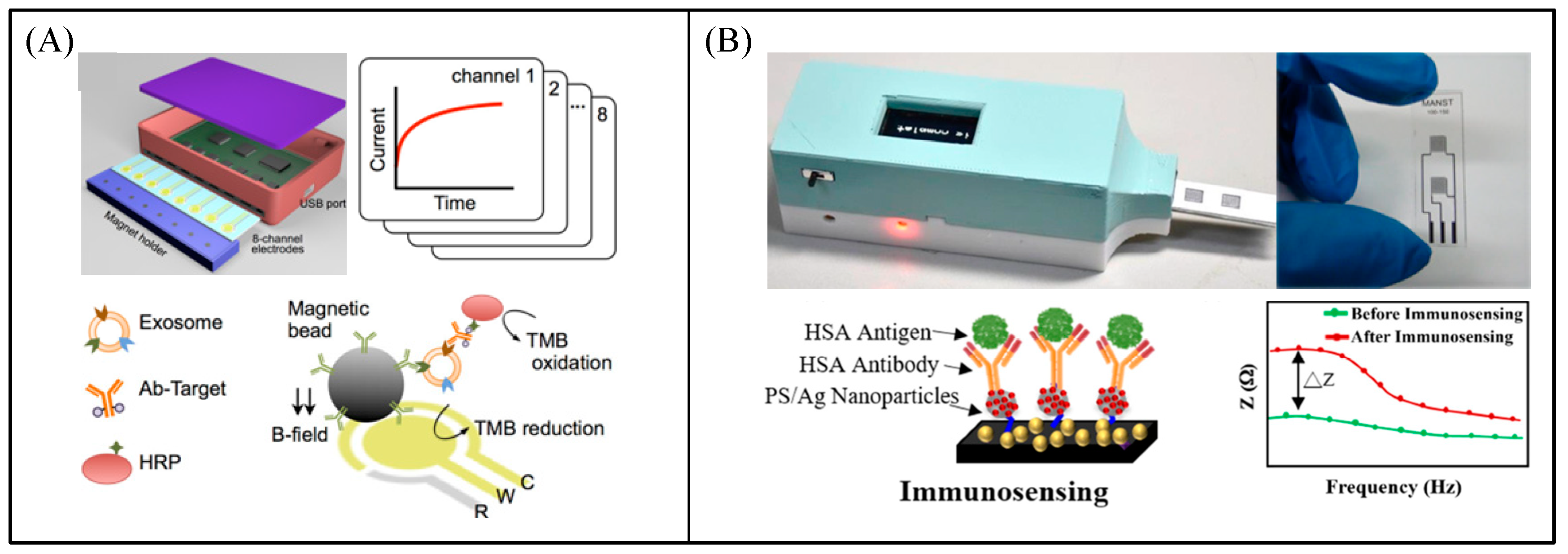 Biosensors 13 00812 g011