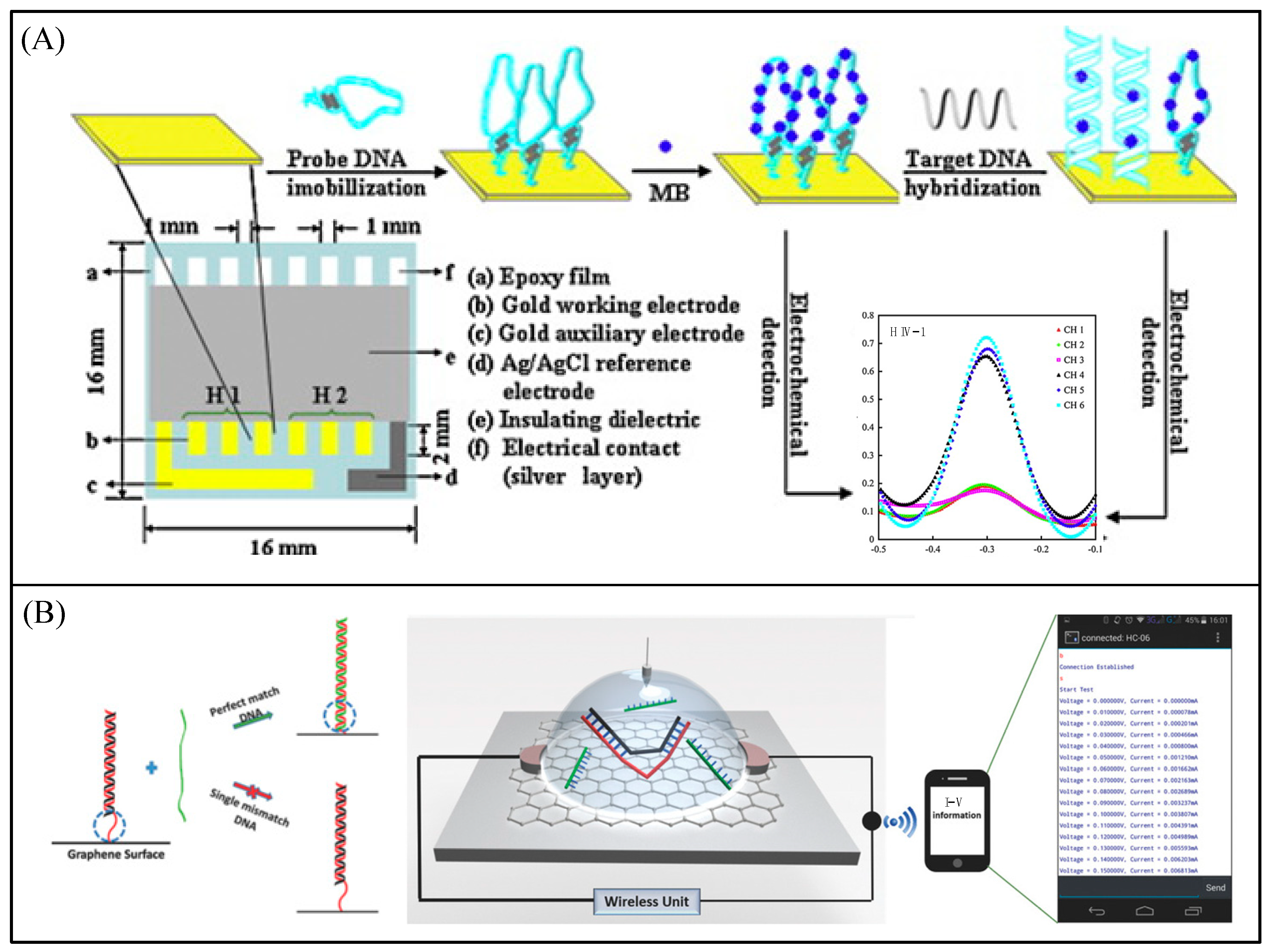 Biosensors 13 00812 g012