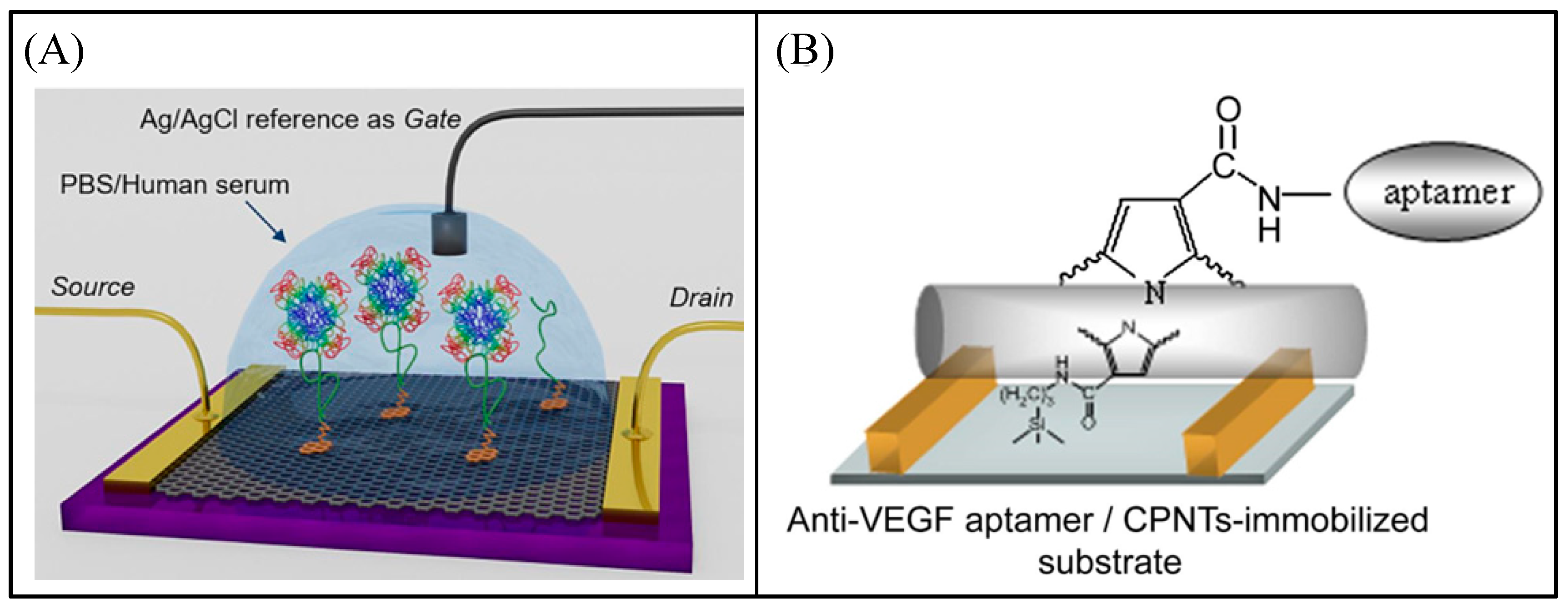 Biosensors 13 00812 g013