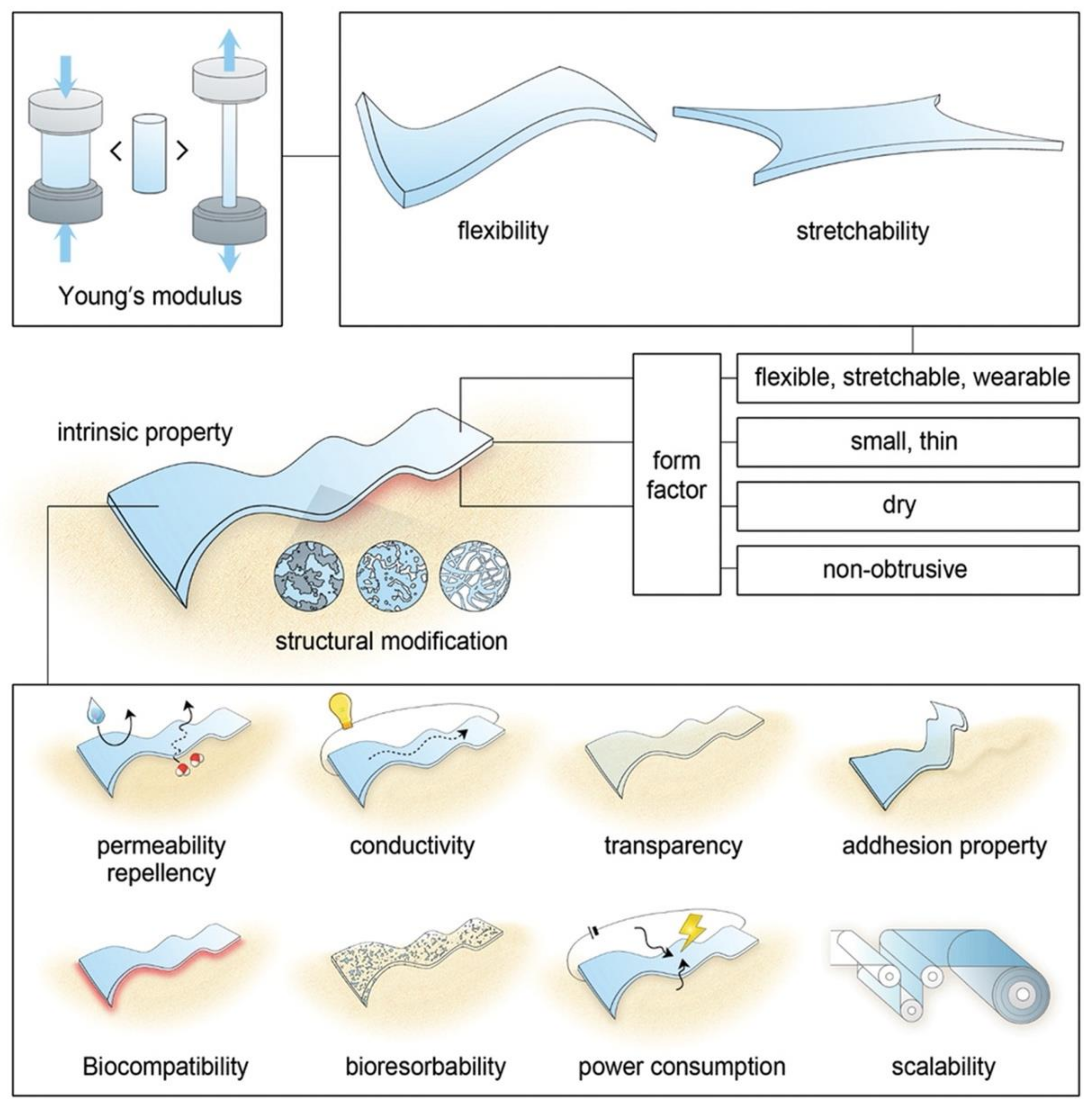 Biosensors 13 00815 g001
