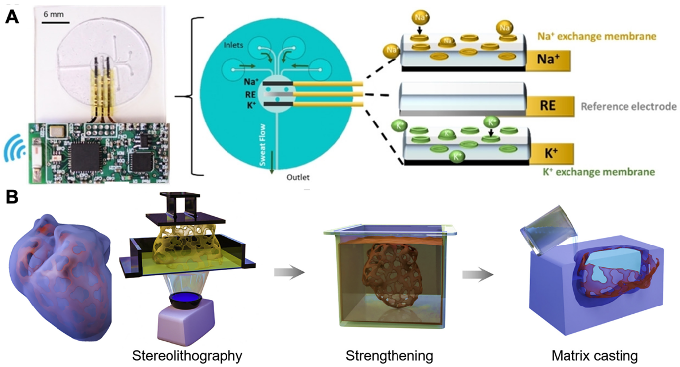 Biosensors 13 00815 g003