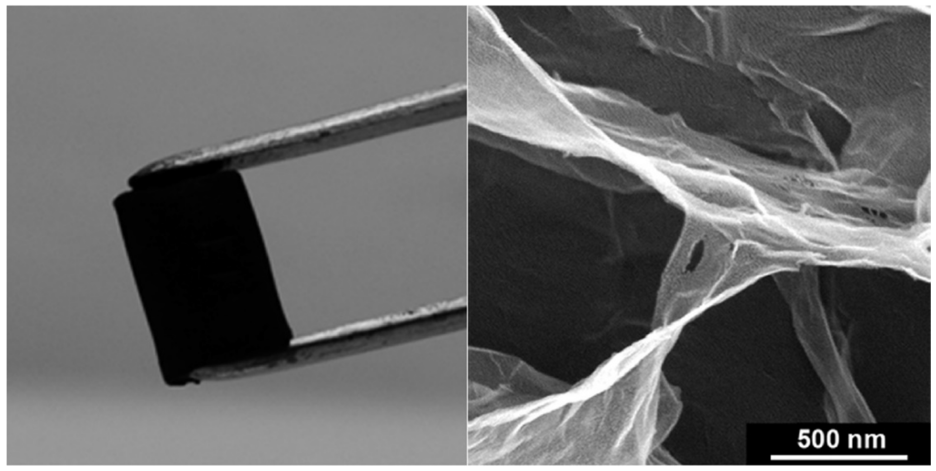 Biosensors 13 00815 g004