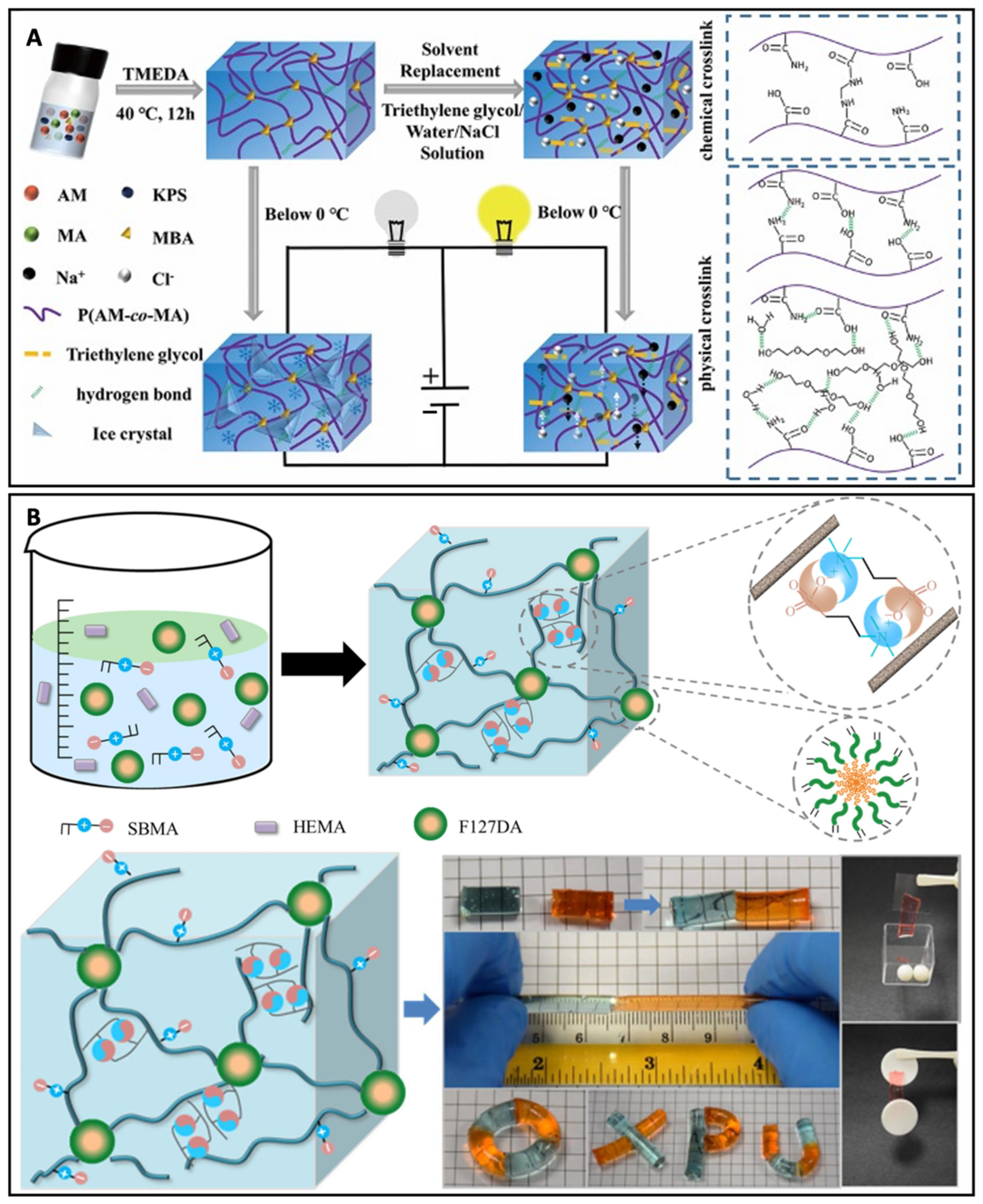 Biosensors 13 00815 g006