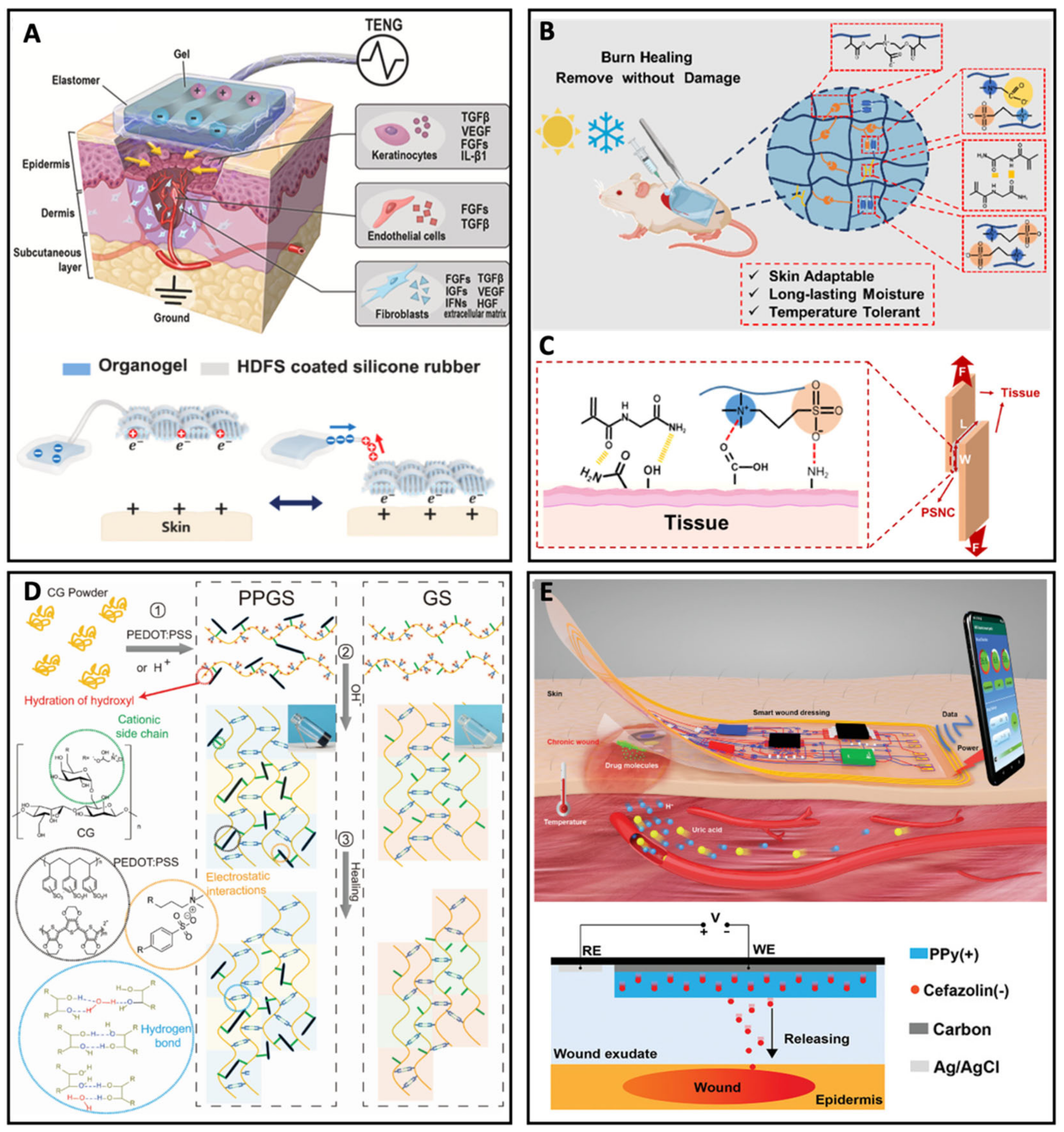 Biosensors 13 00815 g009
