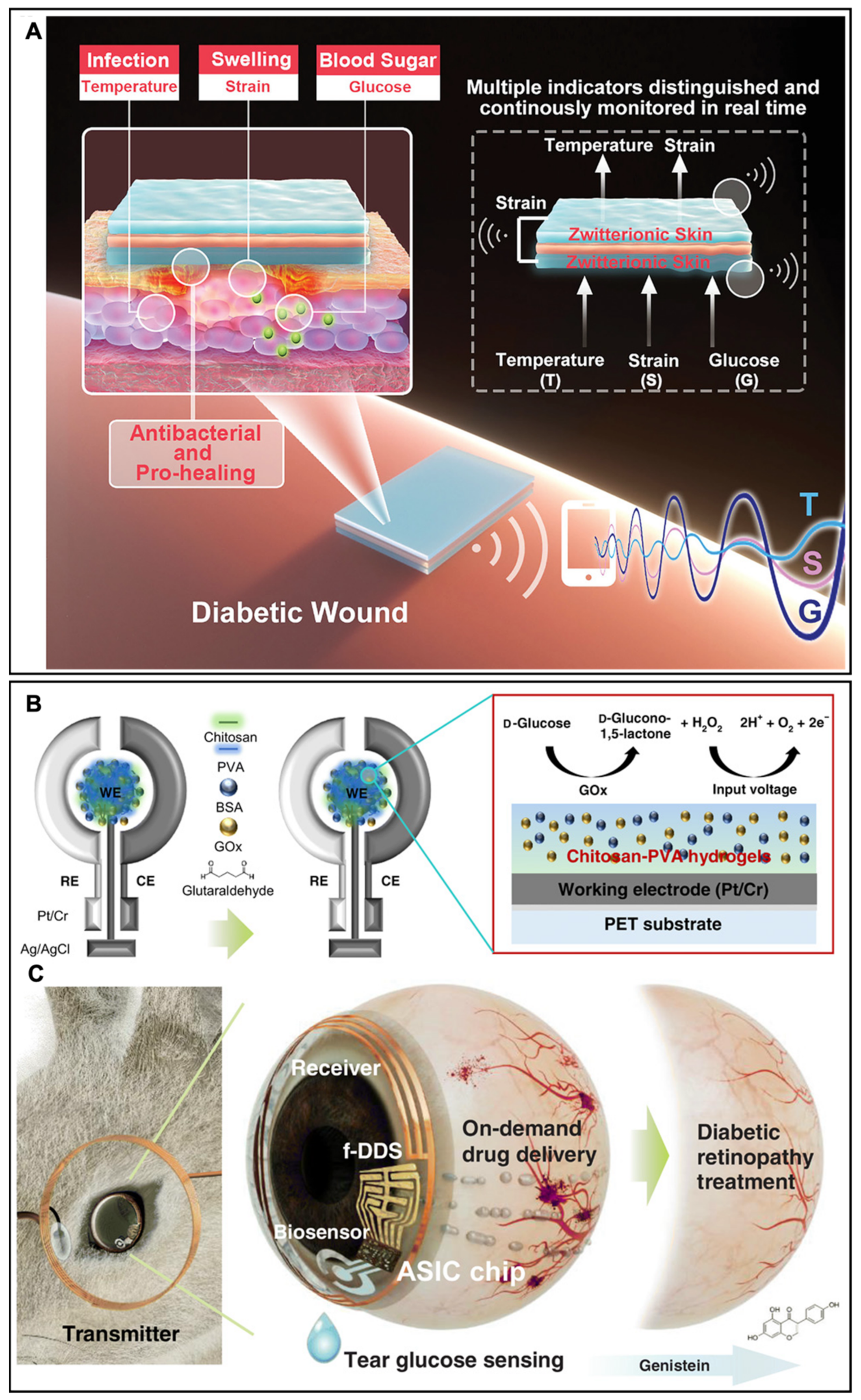 Biosensors 13 00815 g010