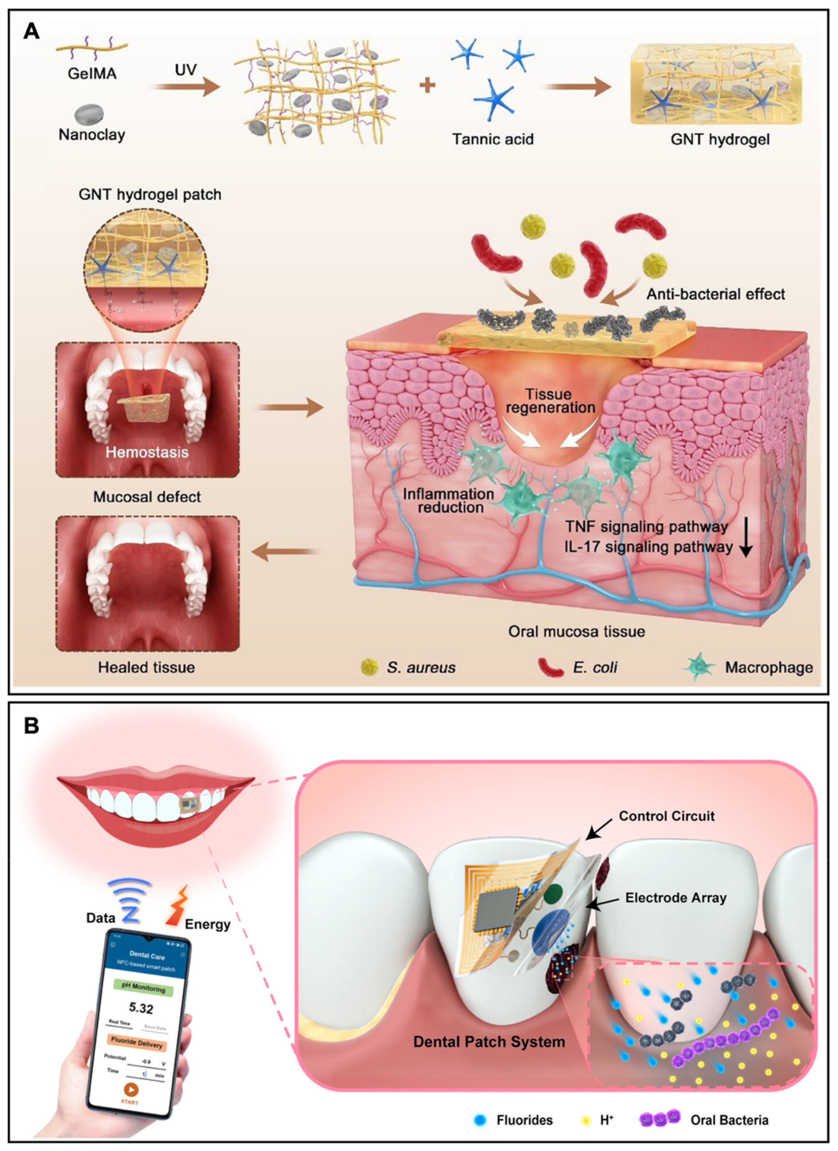 Biosensors 13 00815 g011