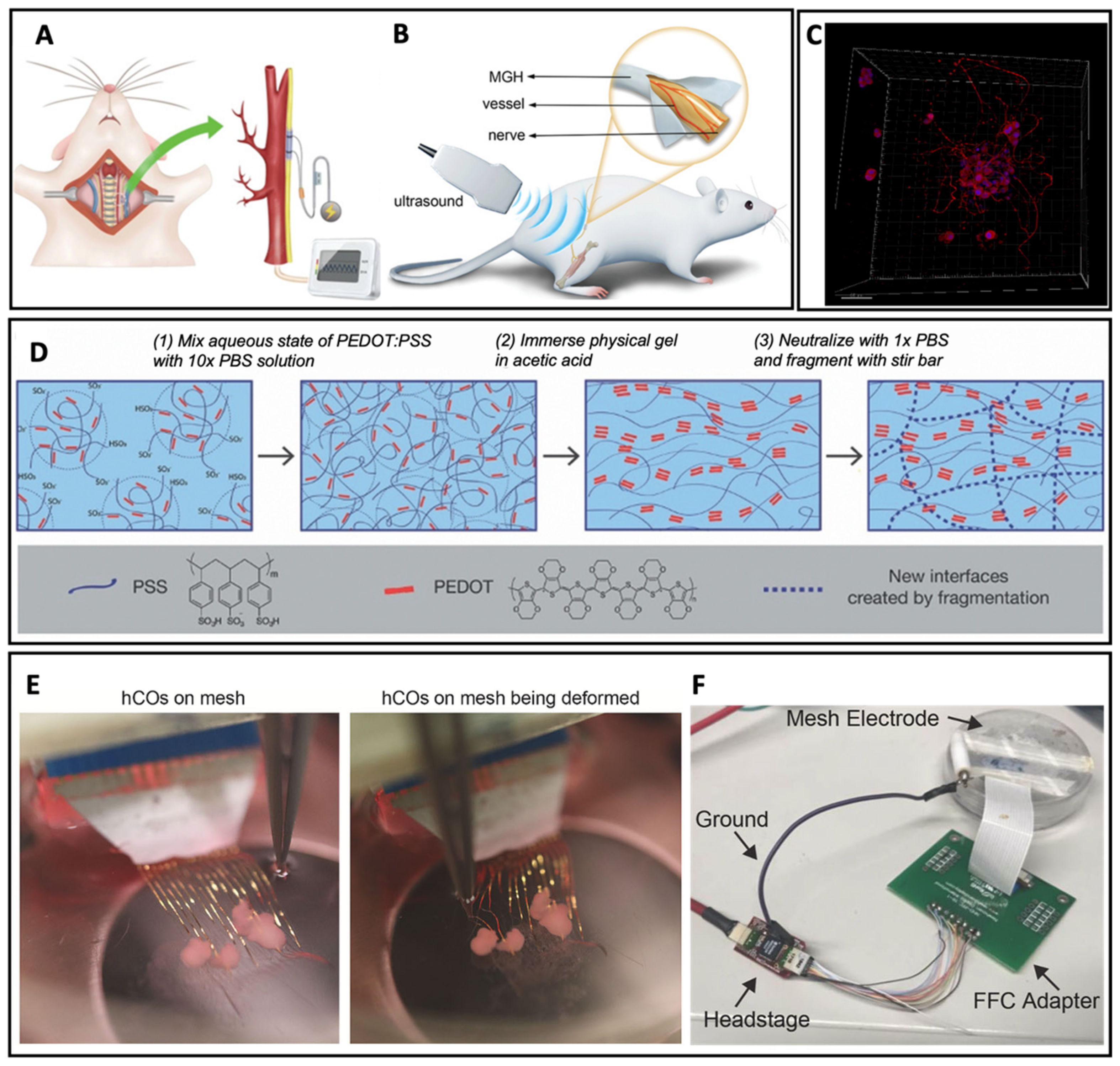 Biosensors 13 00815 g012