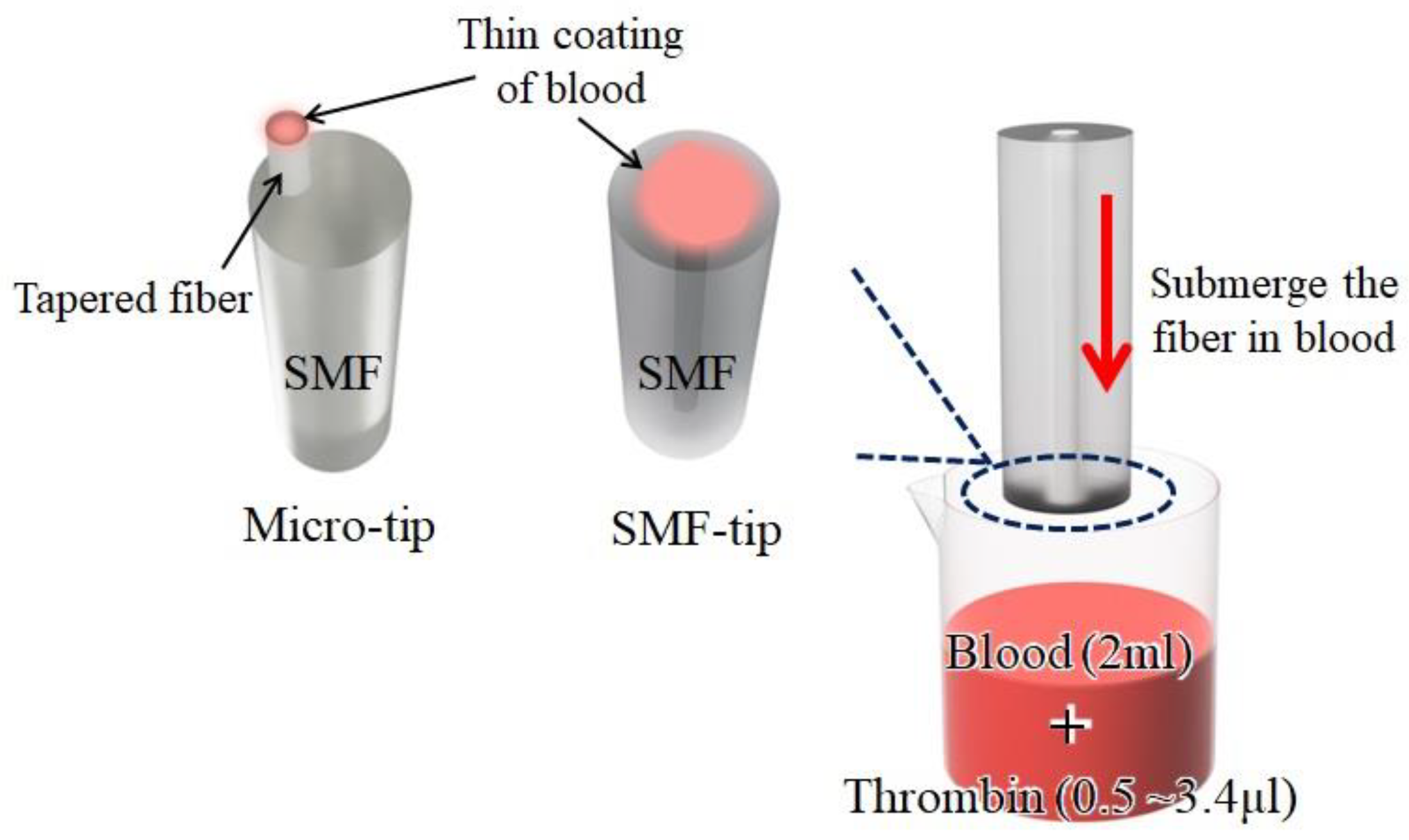 Biosensors 13 00817 g004