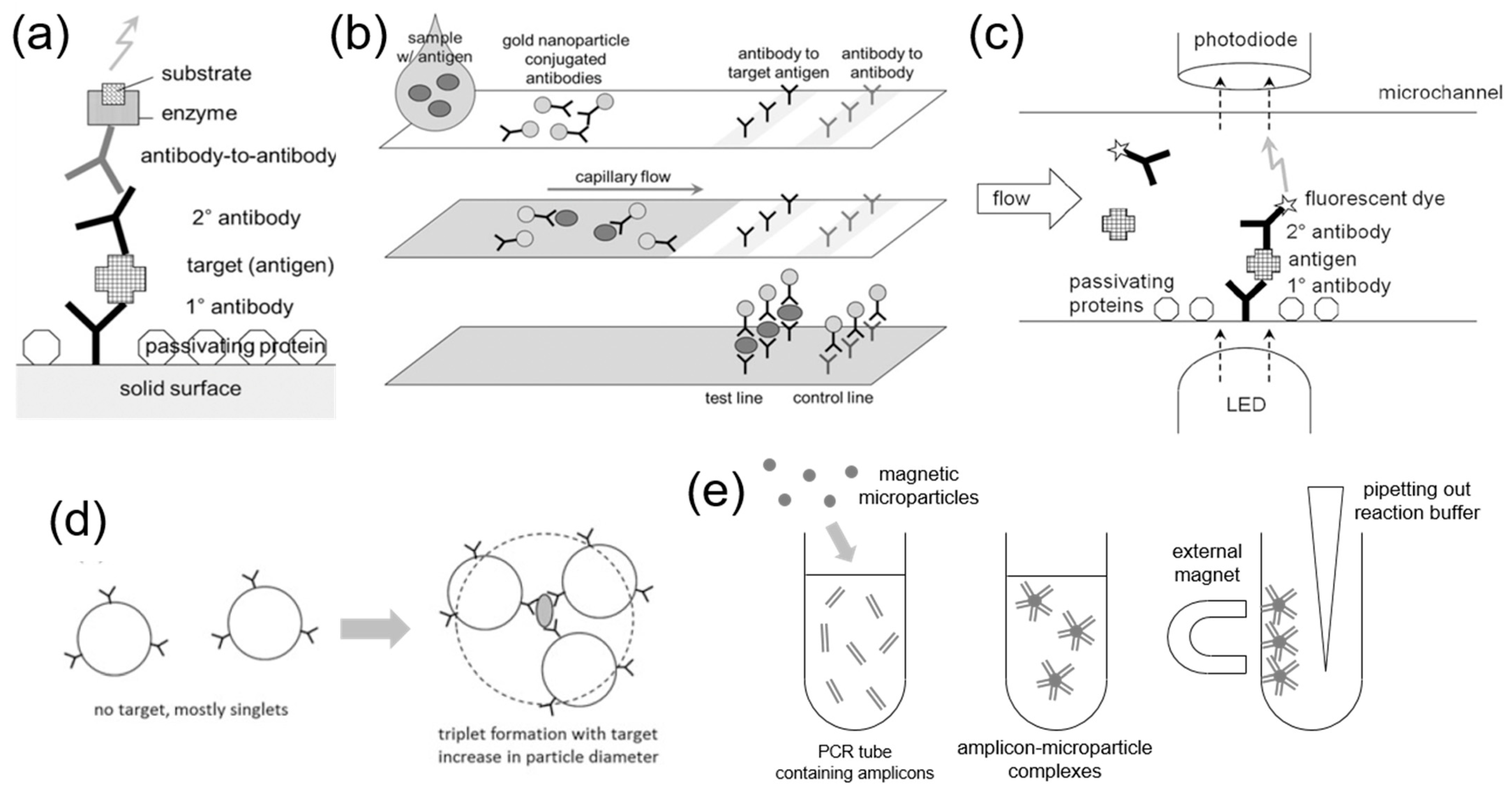 Biosensors 13 00820 g002