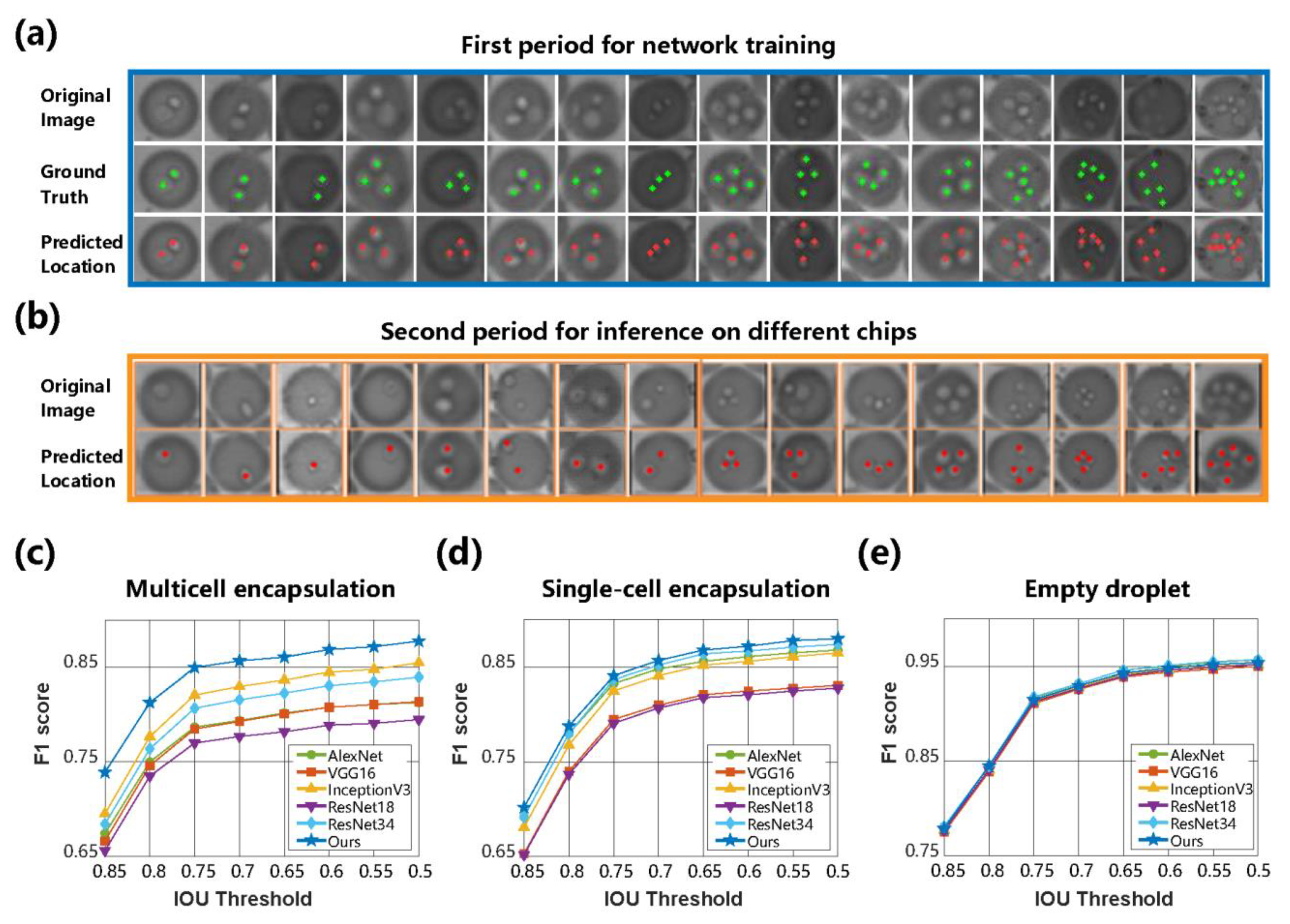 Biosensors 13 00821 g005