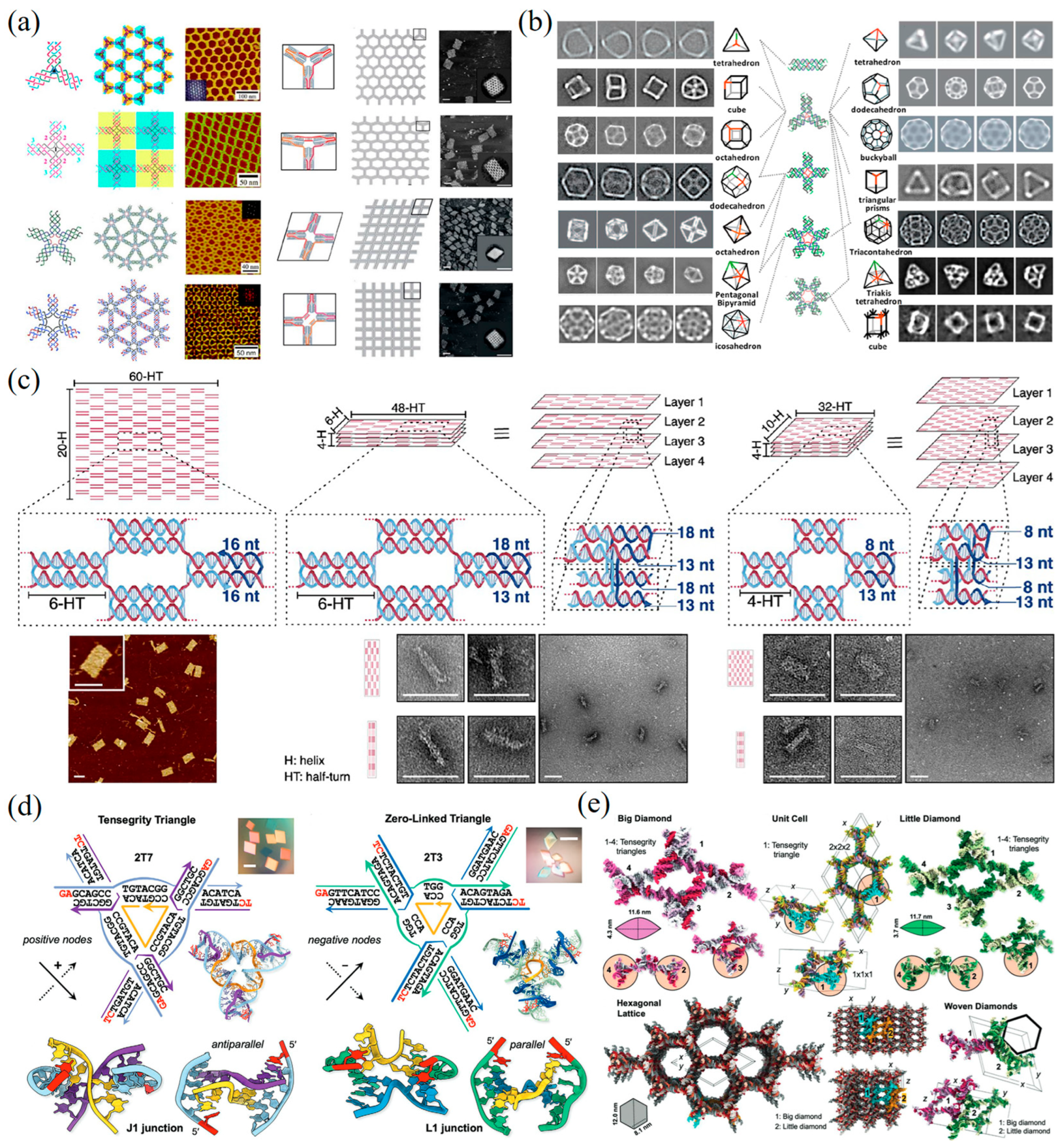 Biosensors 13 00822 g001