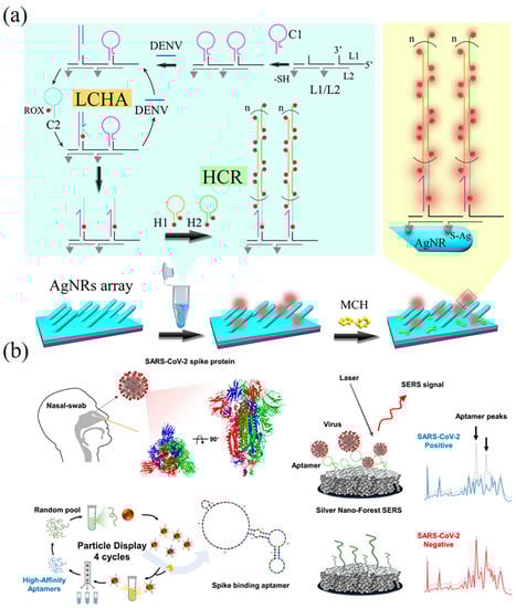 Biosensors 13 00822 g004