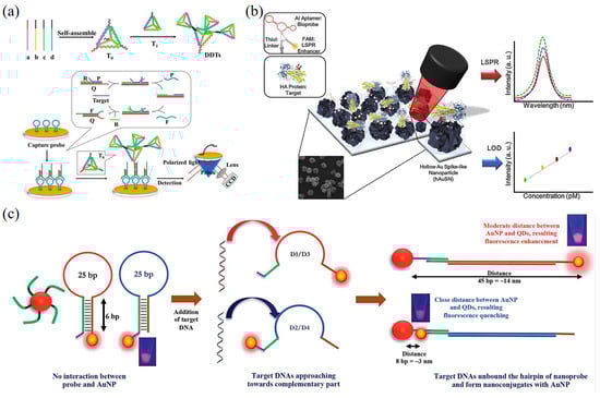 Biosensors 13 00822 g005