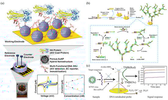 Biosensors 13 00822 g007