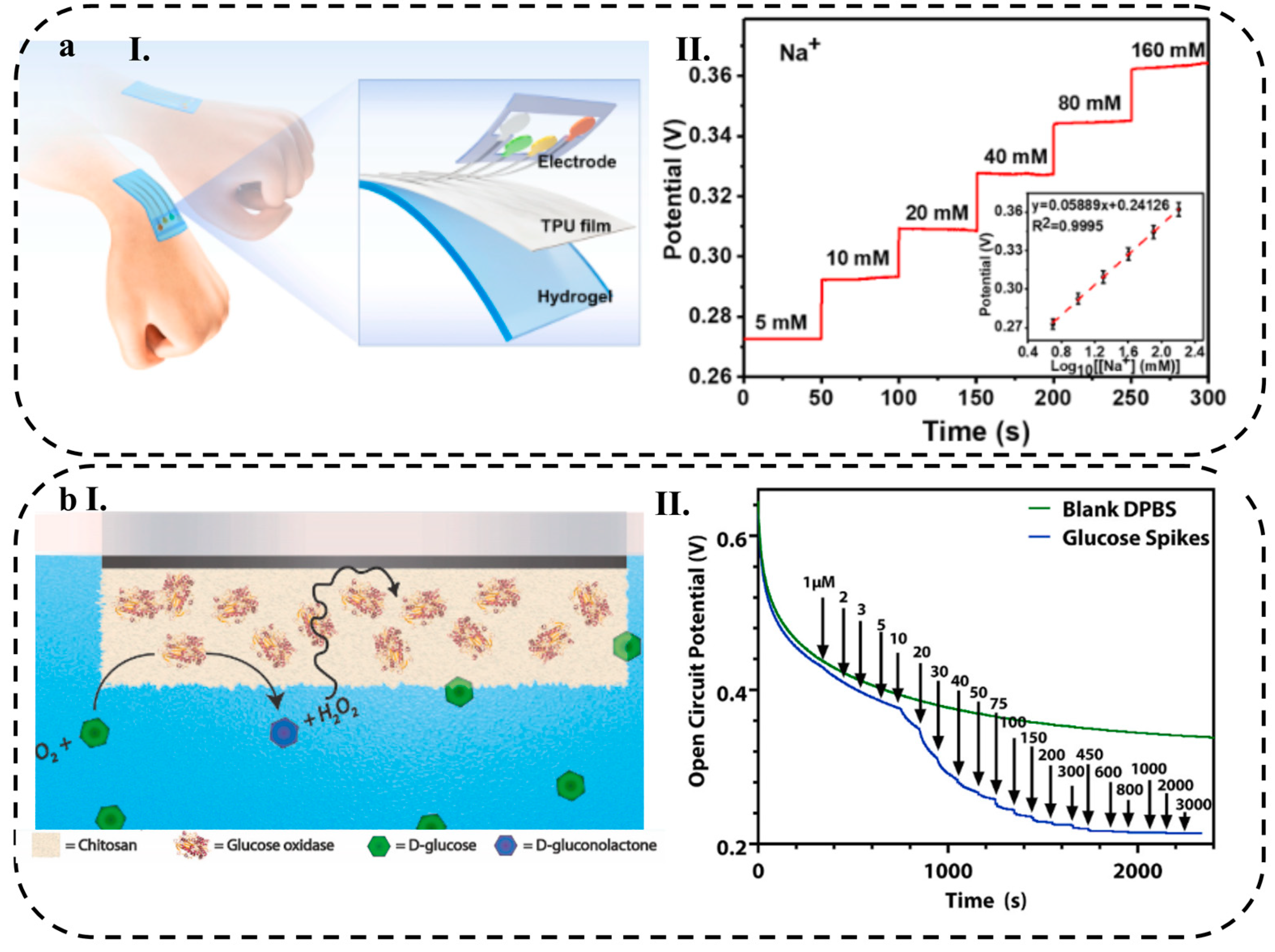 Biosensors 13 00823 g008