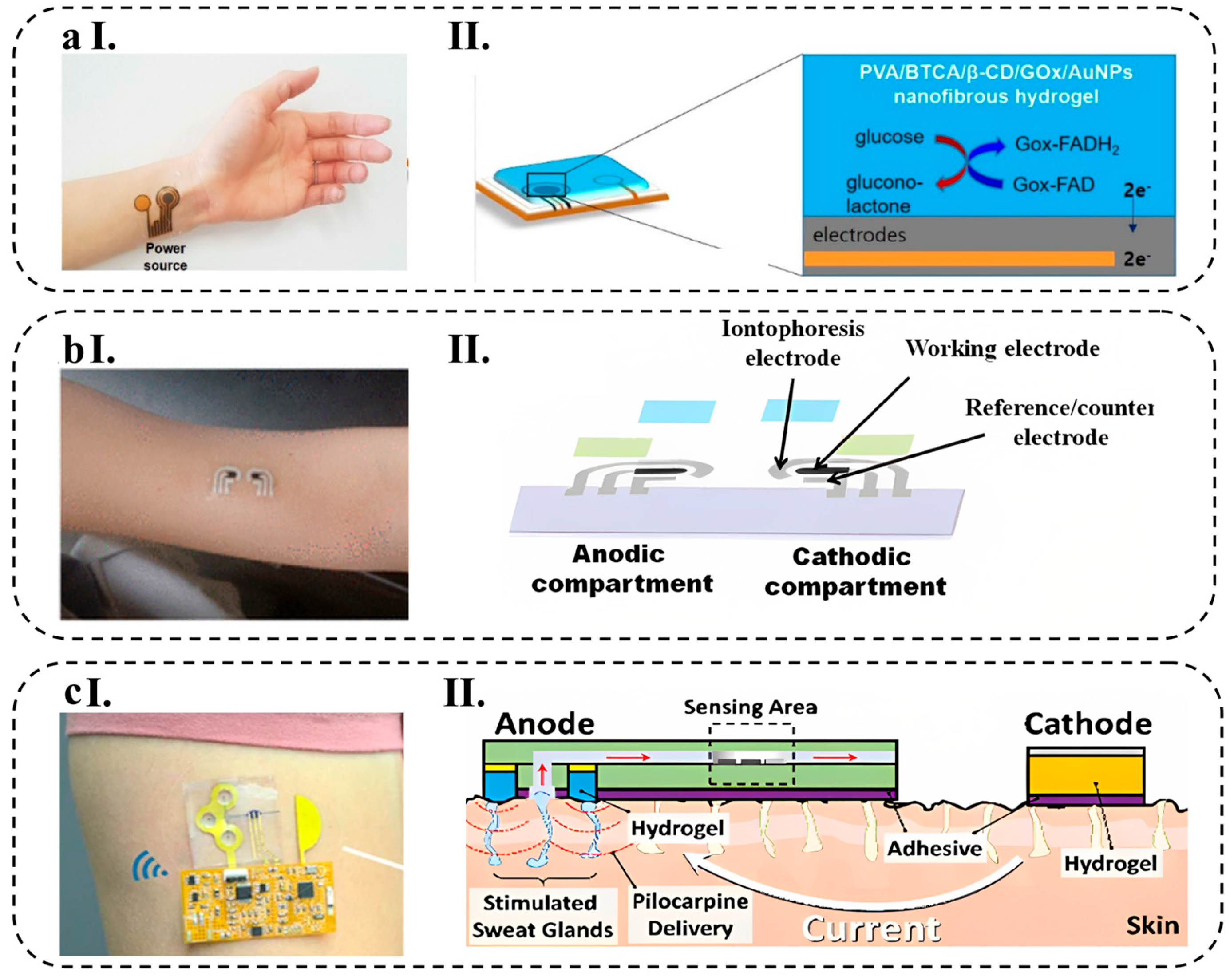 Biosensors 13 00823 g011
