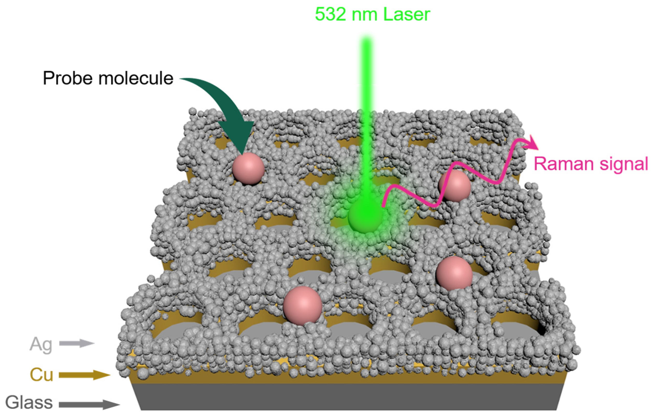 Biosensors 13 00825 g001