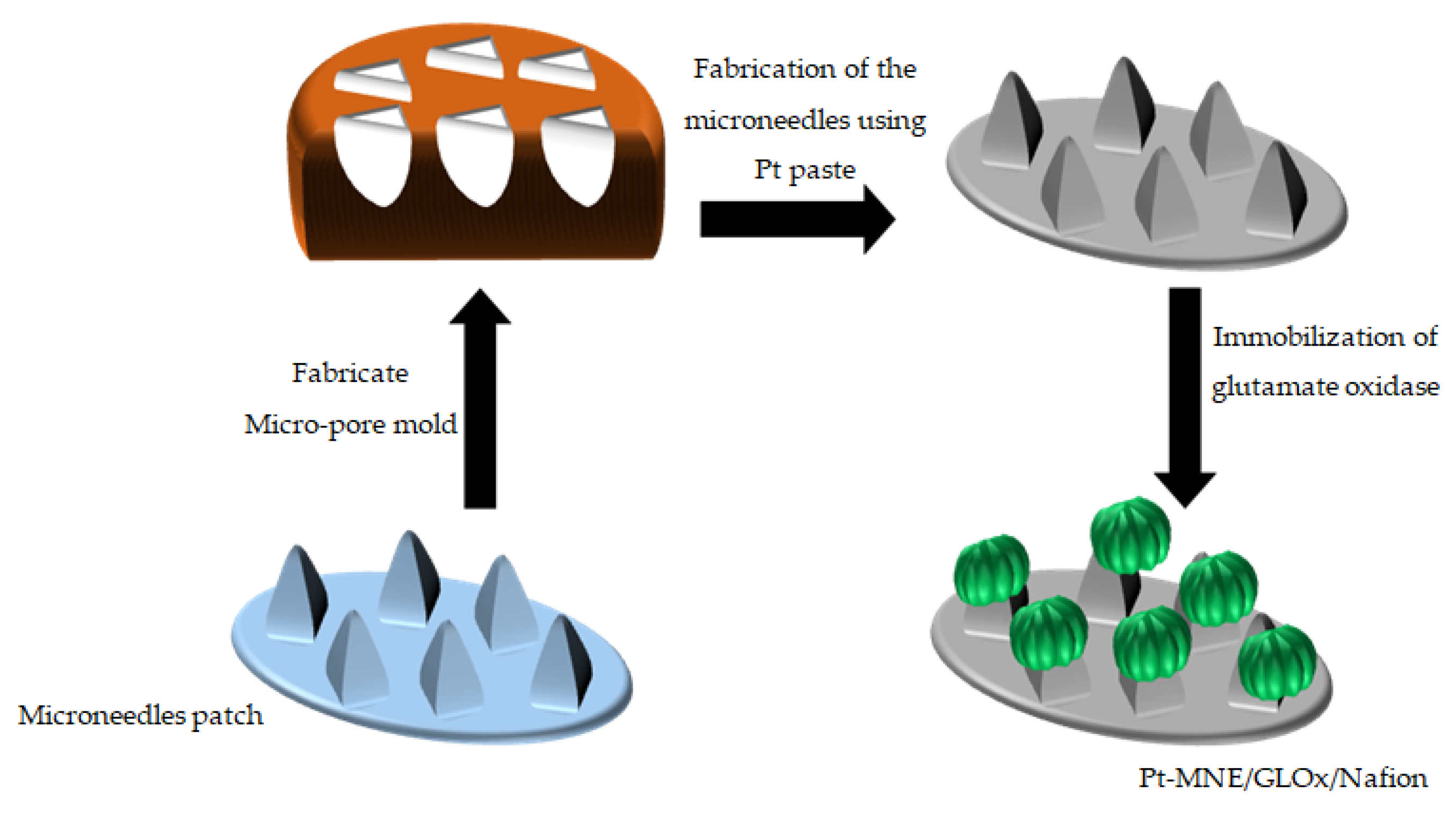 Biosensors 13 00828 g001