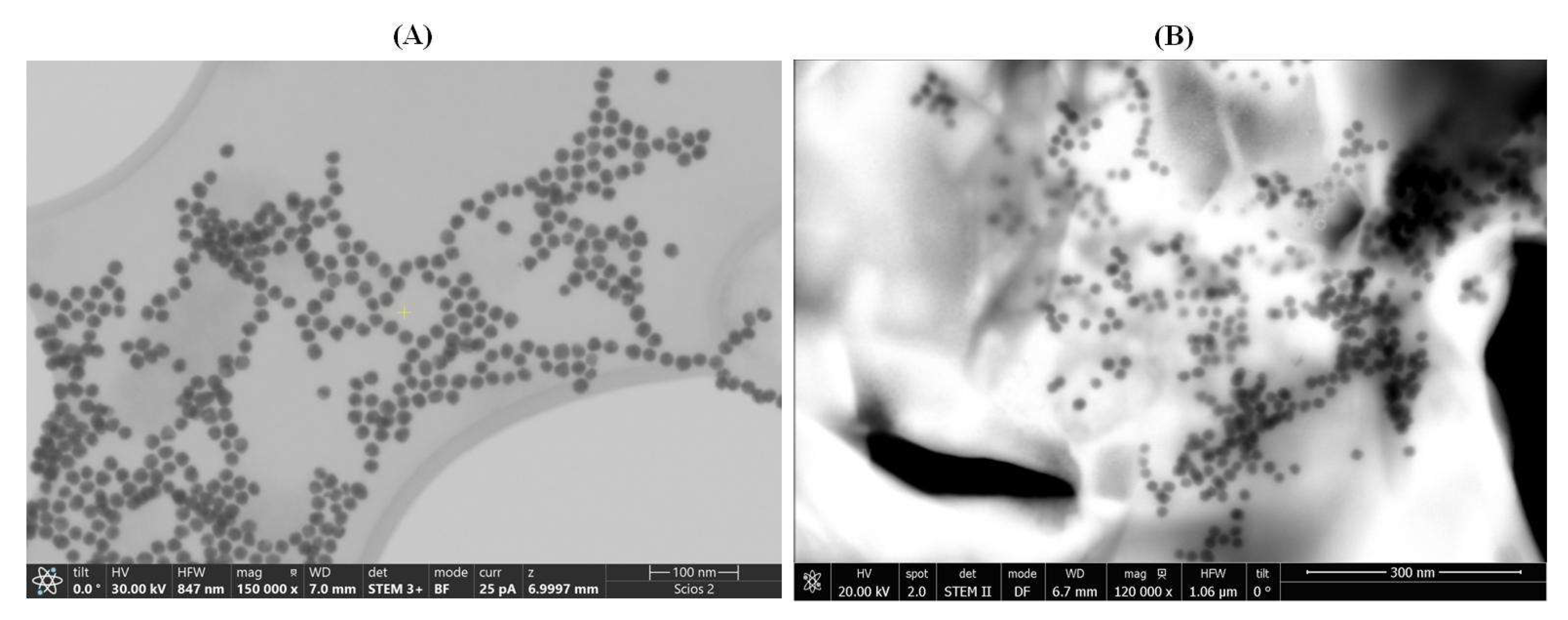 Biosensors 13 00830 g002
