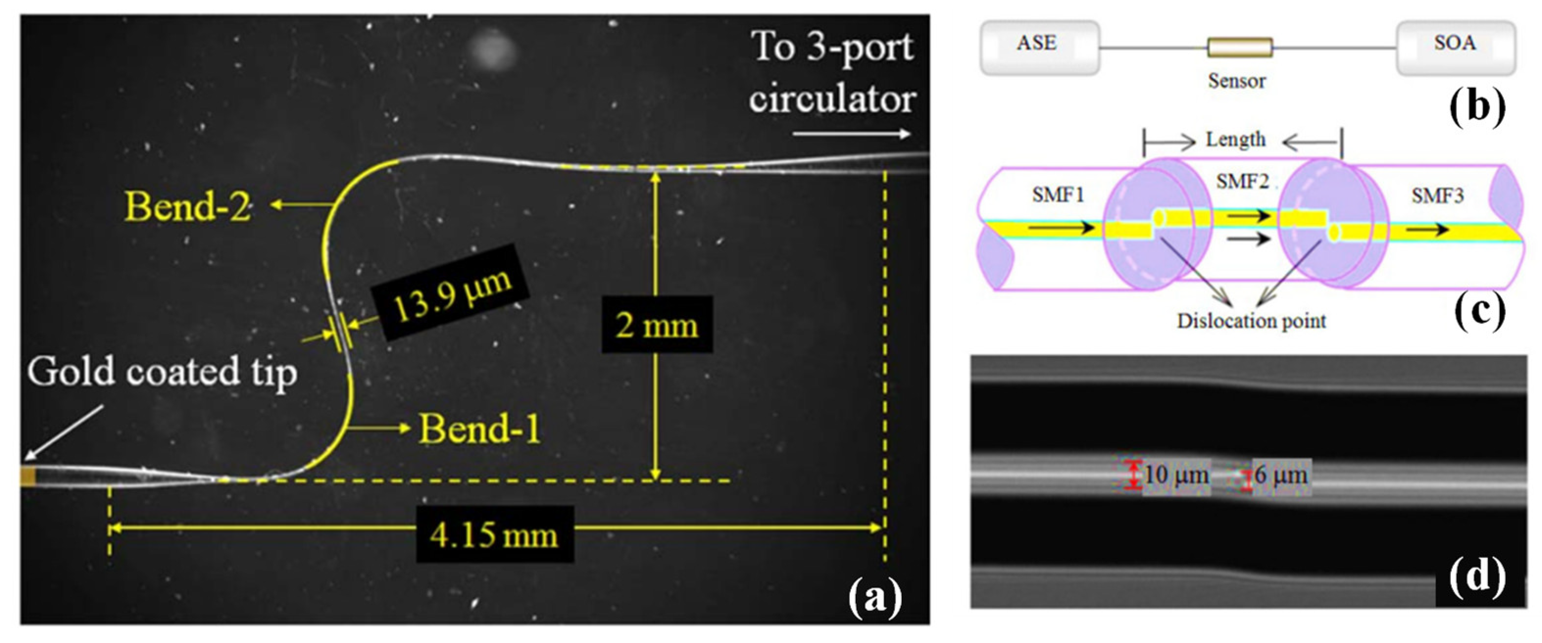 Biosensors 13 00835 g007 Biosensors 13 00835 g007