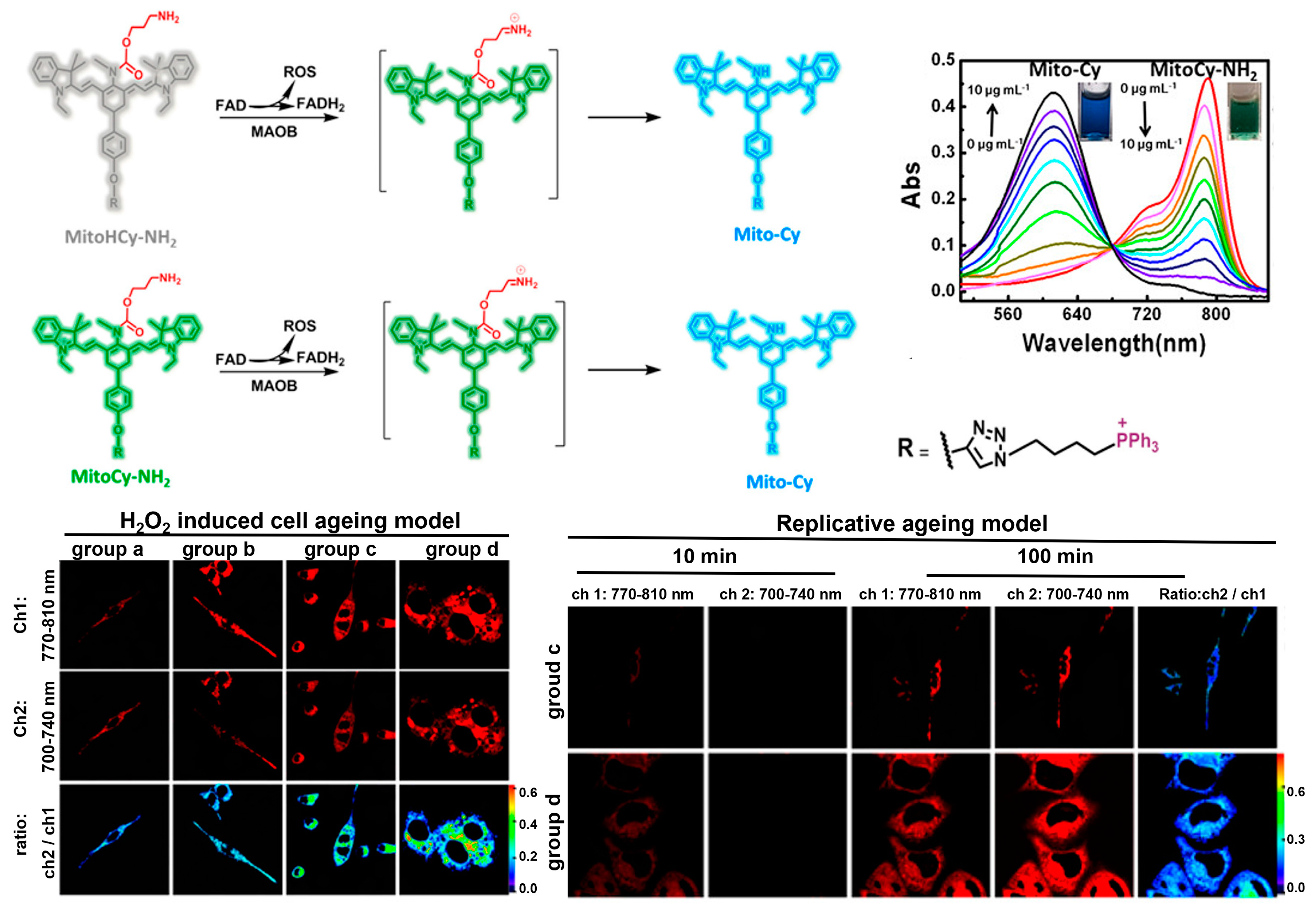 Biosensors 13 00838 g004