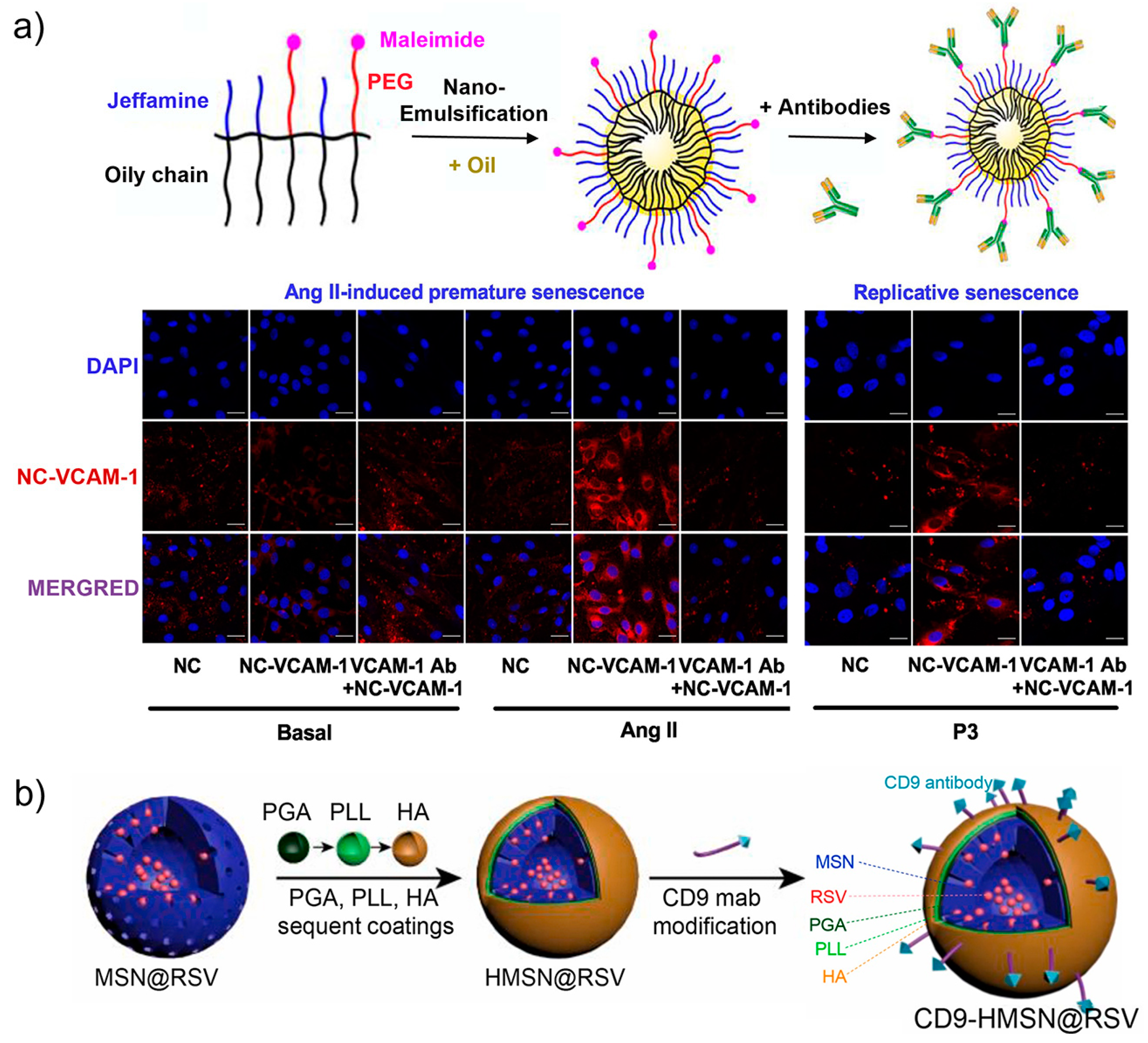Biosensors 13 00838 g005